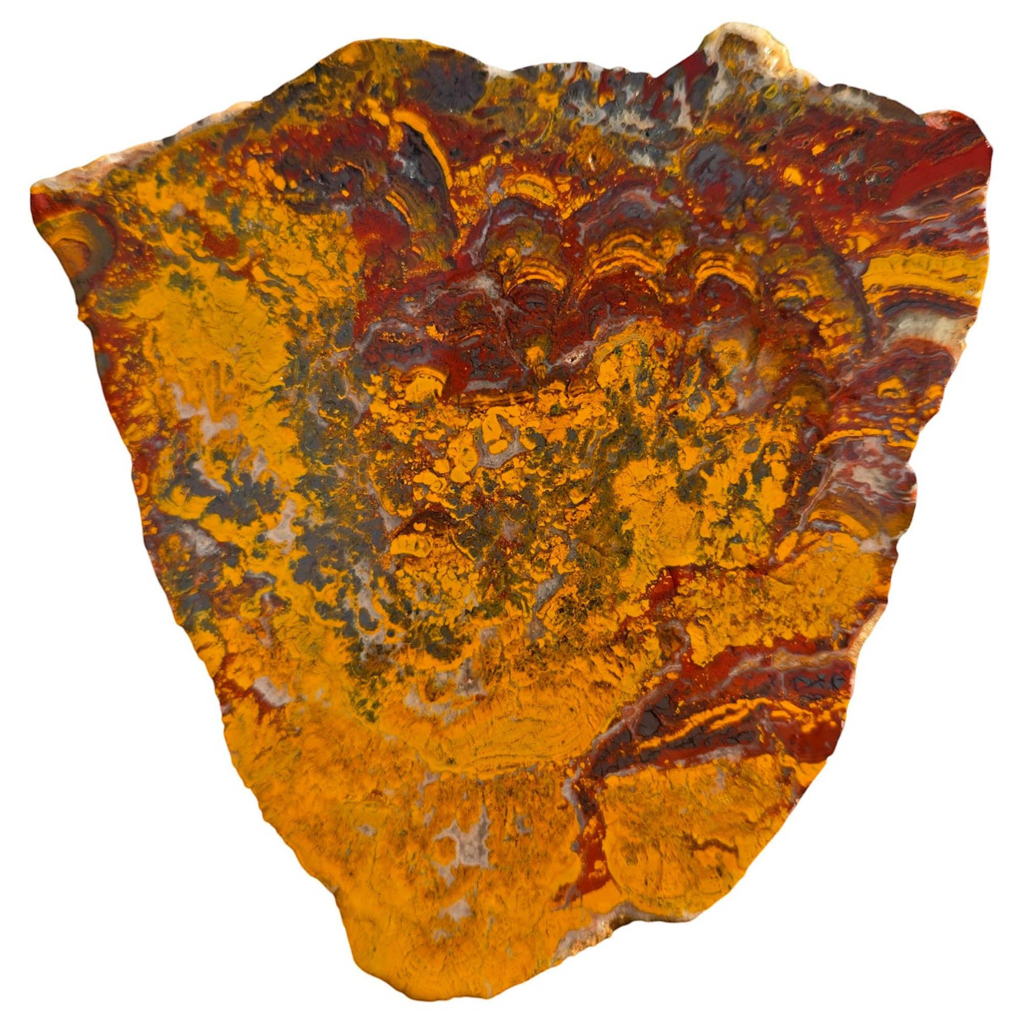 Apple Valley Jasper Slab - Wavy Brecciated Stromatolites Golden Hematite #3752-Photo4