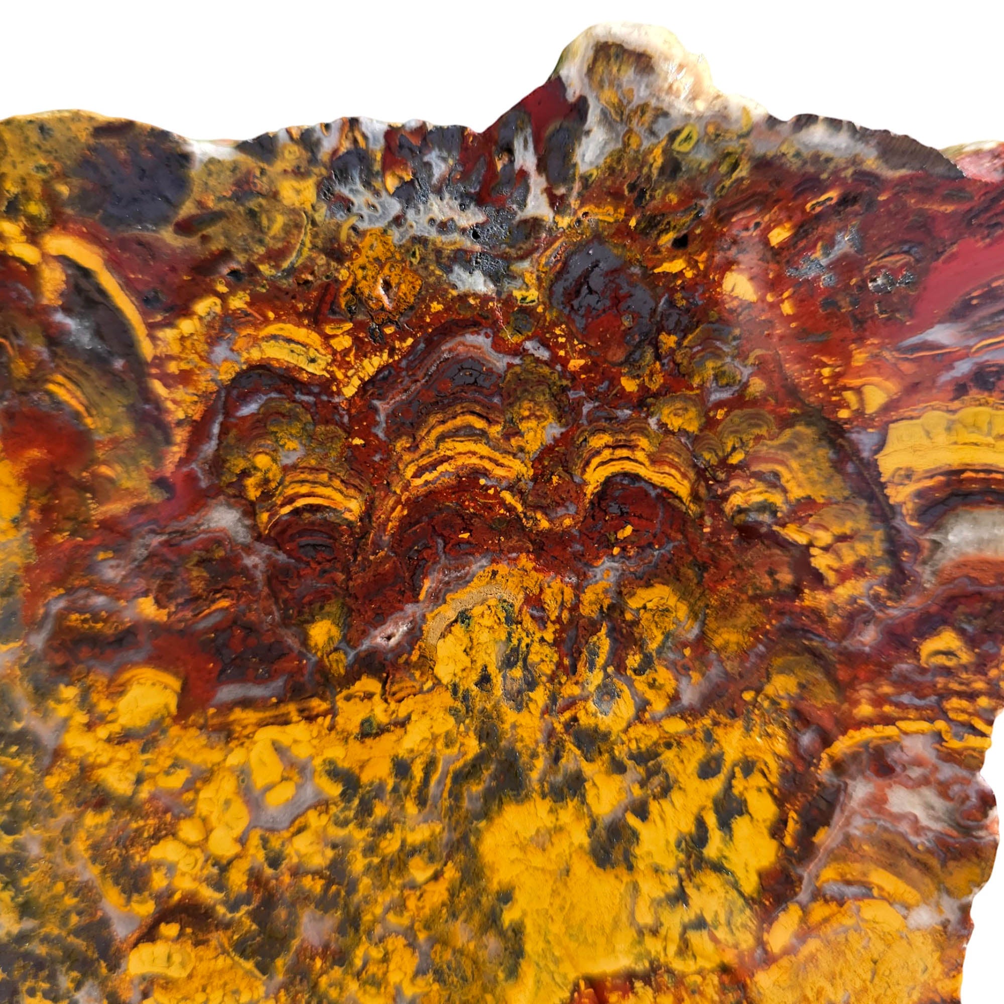 Apple Valley Jasper Slab - Wavy Brecciated Stromatolites Golden Hematite #3752-Photo5