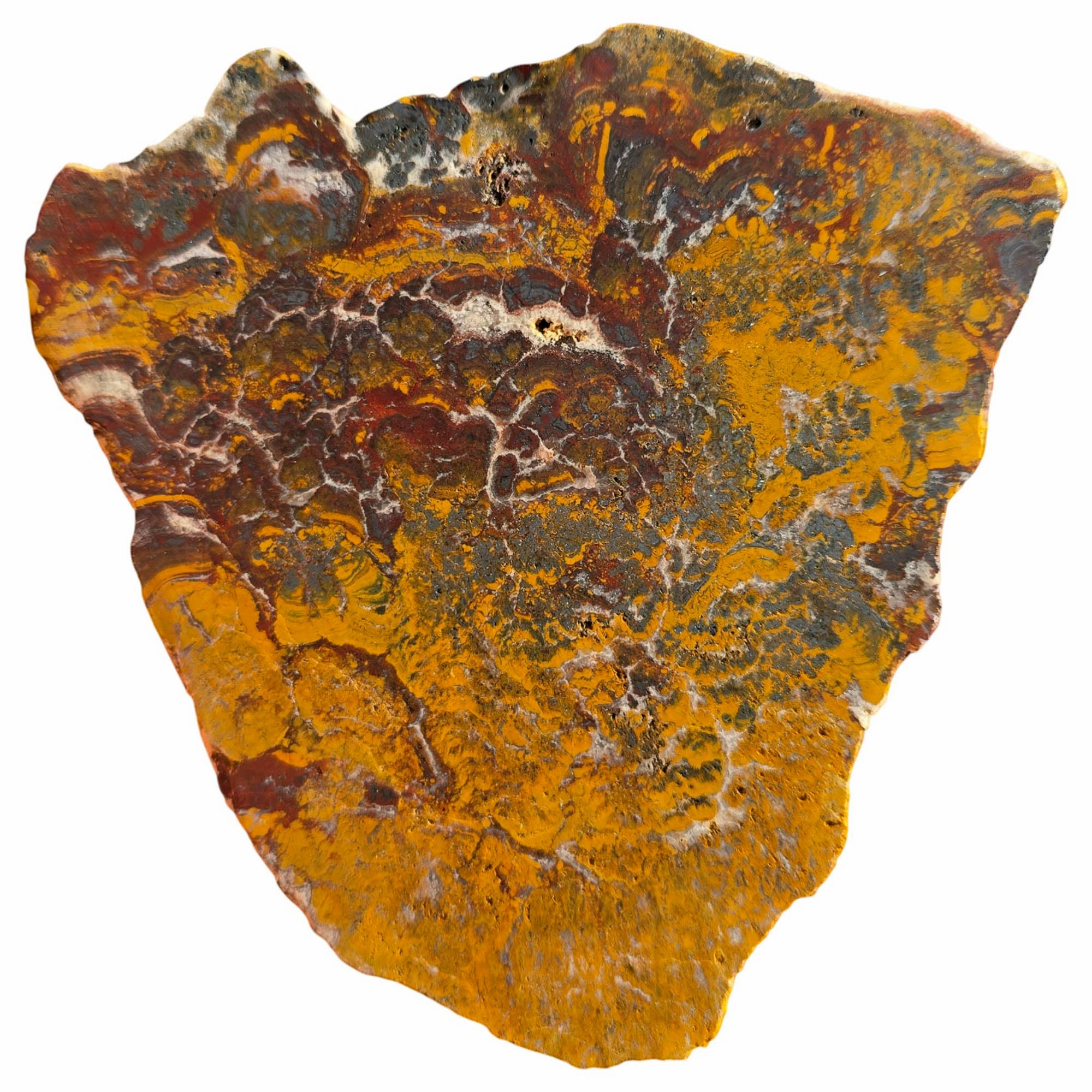 Apple Valley Jasper Slab Dry - Wavy Brecciated Stromatolites Golden Hematite #3752-Photo6