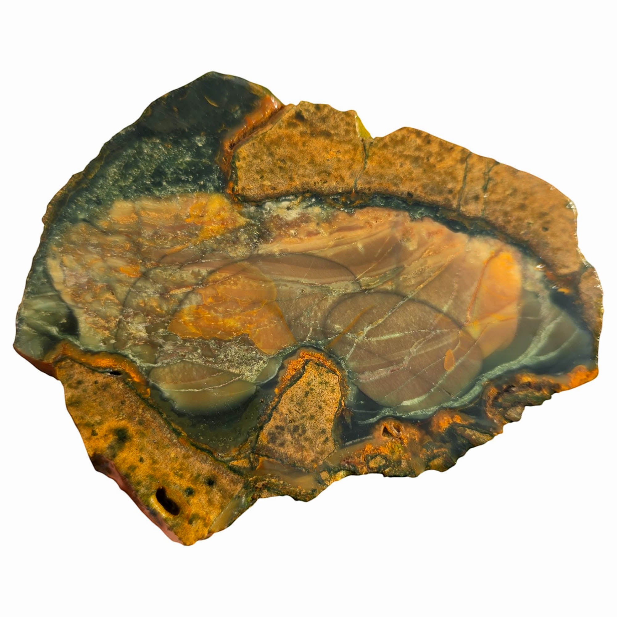 Blue Mountain Jasper Slab – Orbicular Pattern Practice Grade Mitchell! #3753-Photo2