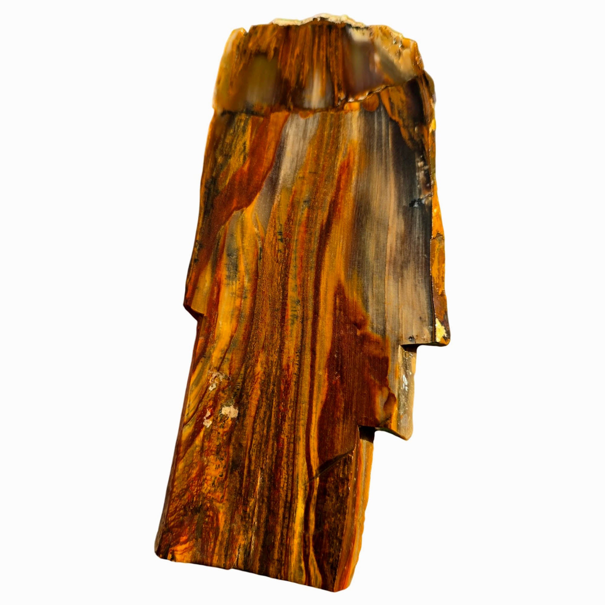 Mystery Petrified Wood Slab – Flame Rustic Pattern Oregon! #3754-Photo2