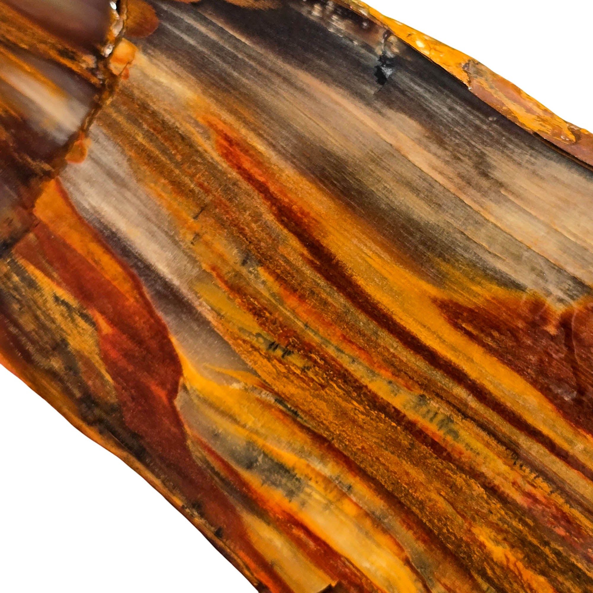 Mystery Petrified Wood Slab – Flame Rustic Pattern Oregon! #3754-Photo3