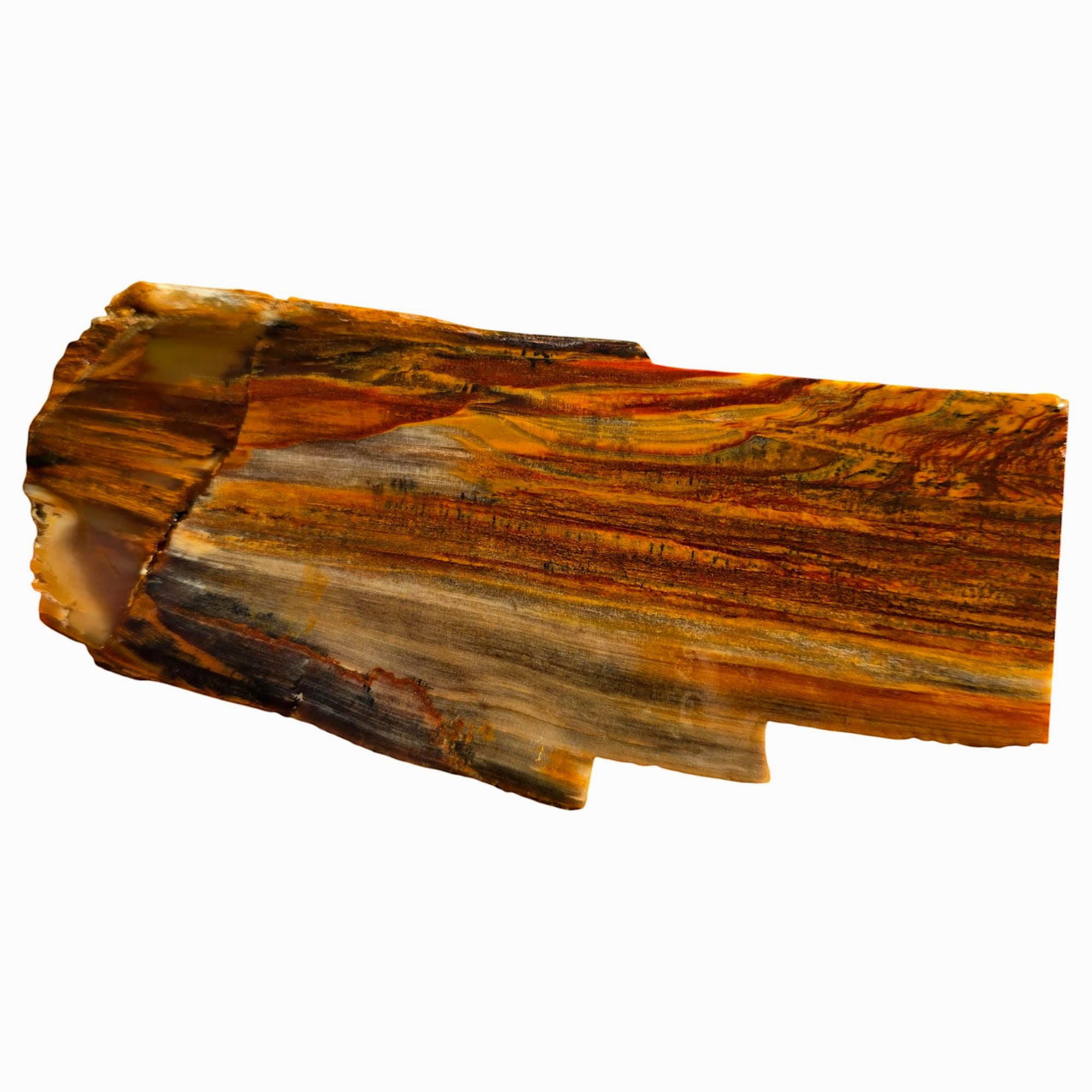 Mystery Petrified Wood Slab – Flame Rustic Pattern Oregon! #3754-Photo4