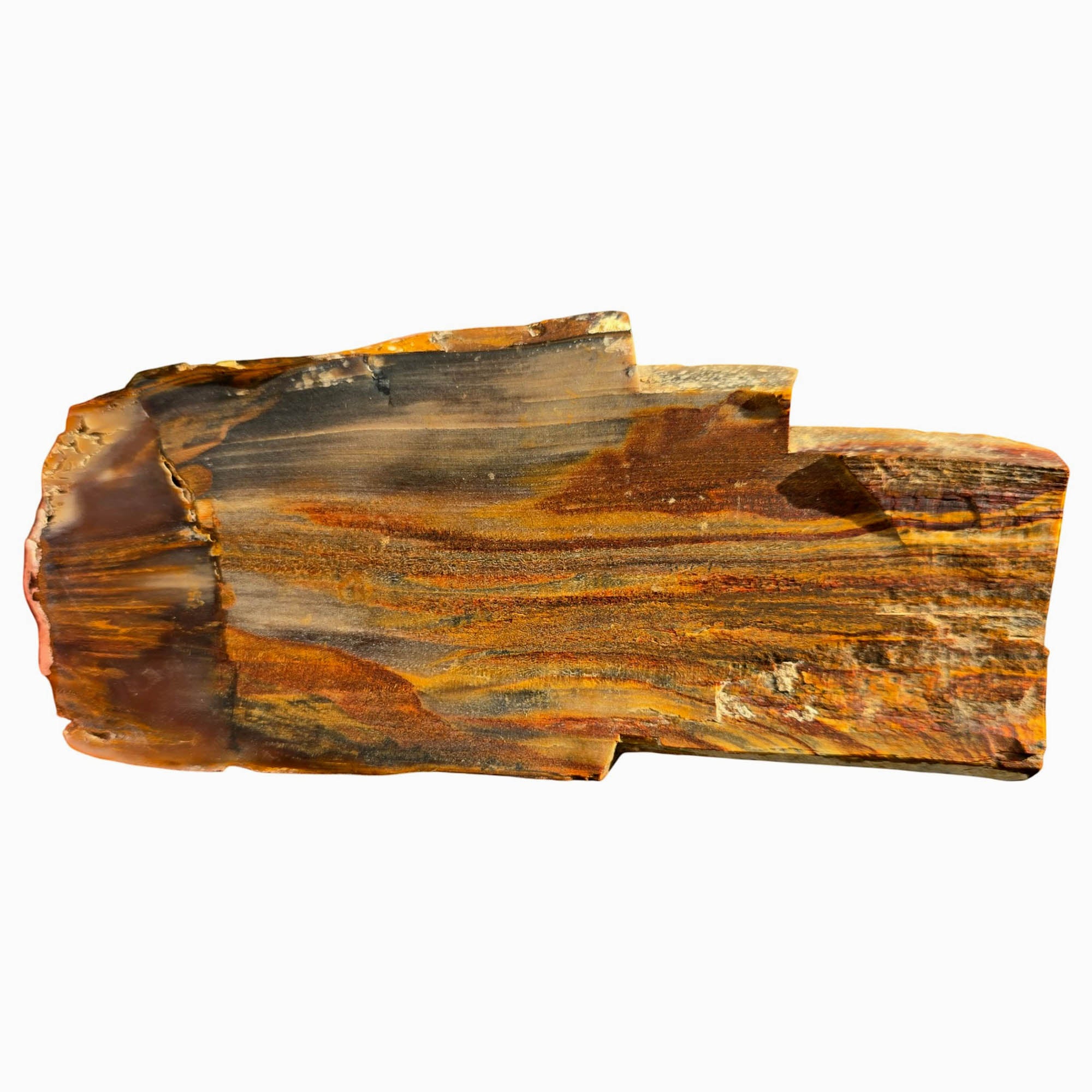 Mystery Petrified Wood Slab Dry – Flame Rustic Pattern Oregon! #3754-Photo5