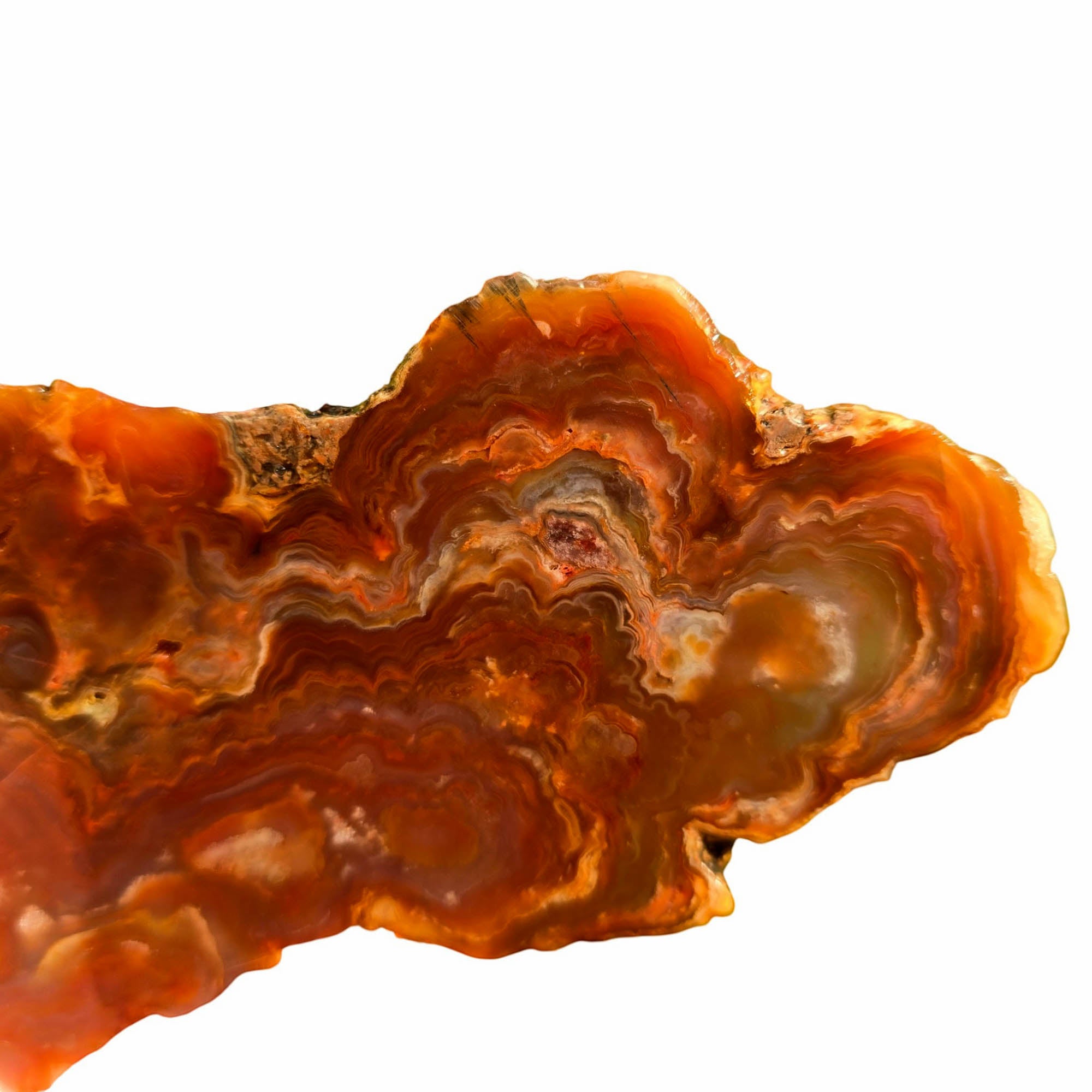 Fire Horizon Agate Slab - Fiery Orange Lace Druzy Mexico #3757-2