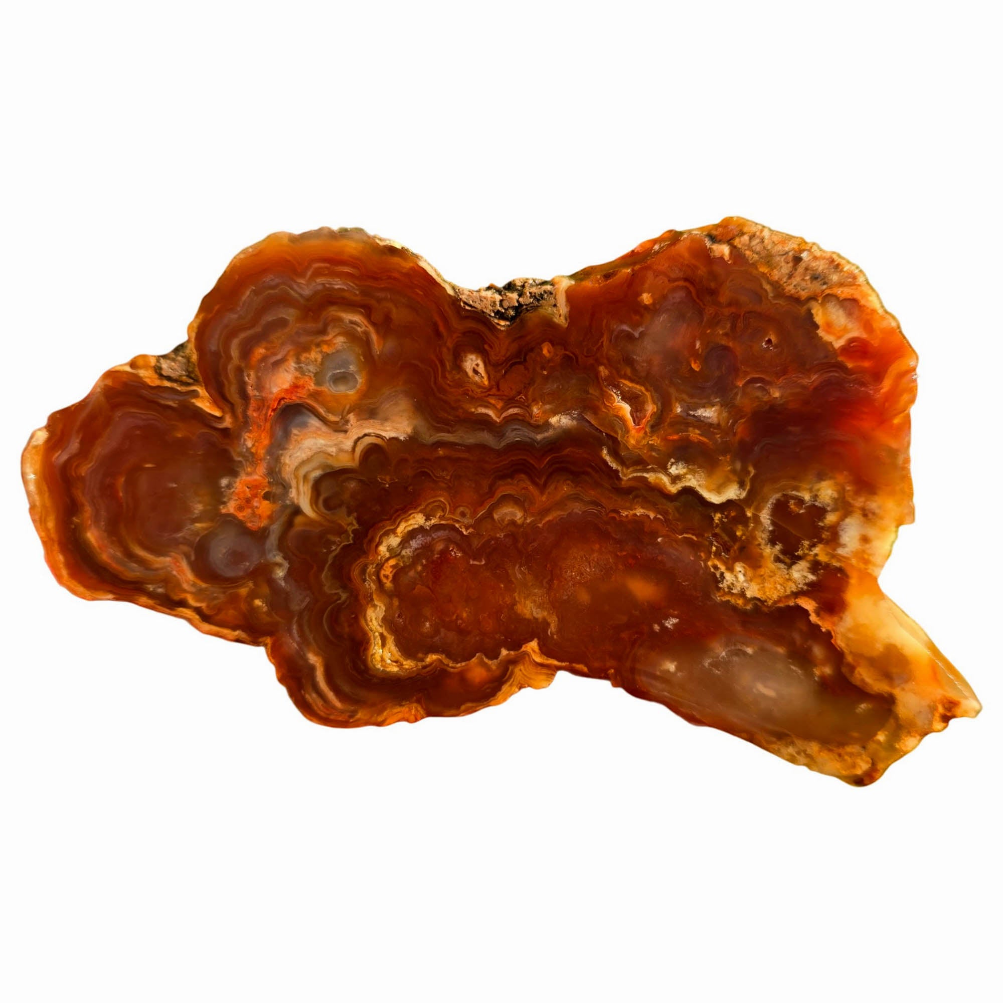 Fire Horizon Agate Slab - Fiery Orange Lace Druzy Mexico #3757-3
