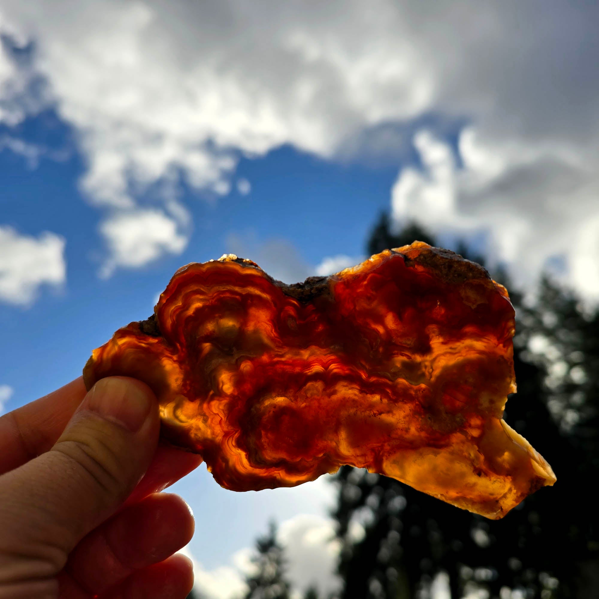 Fire Horizon Agate Slab - Fiery Orange Lace Druzy Mexico #3757-4