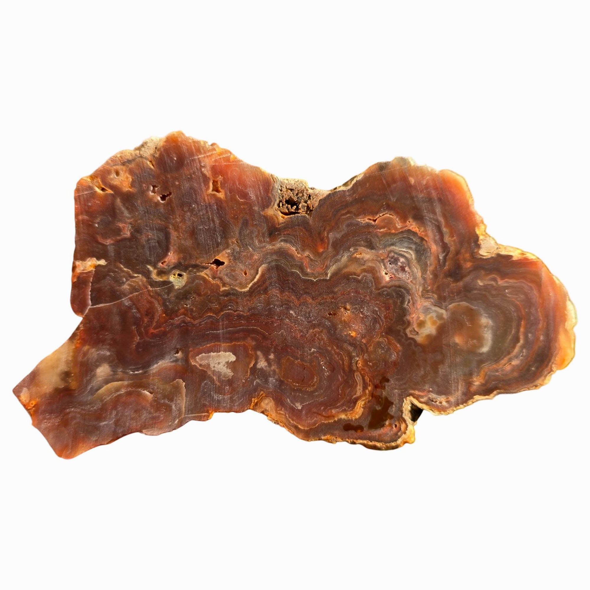 Fire Horizon Agate Slab Dry - Fiery Orange Lace Druzy Mexico #3757-5