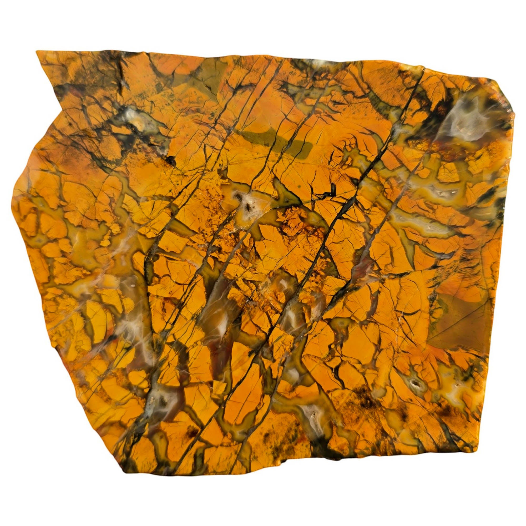 Stone Canyon Jasper Slab – Brecciated Agate Rivers Creamy Pattern #3758-Photo2