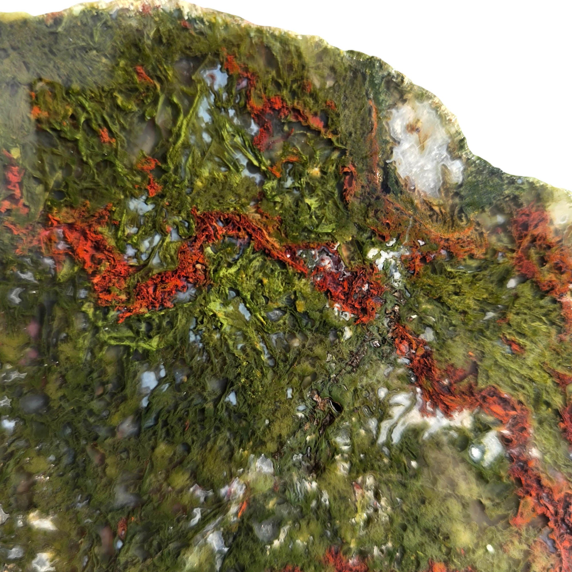 Maury Mountain Moss Agate Slab – Green with Red Rivers Oregon! #3759-Photo5