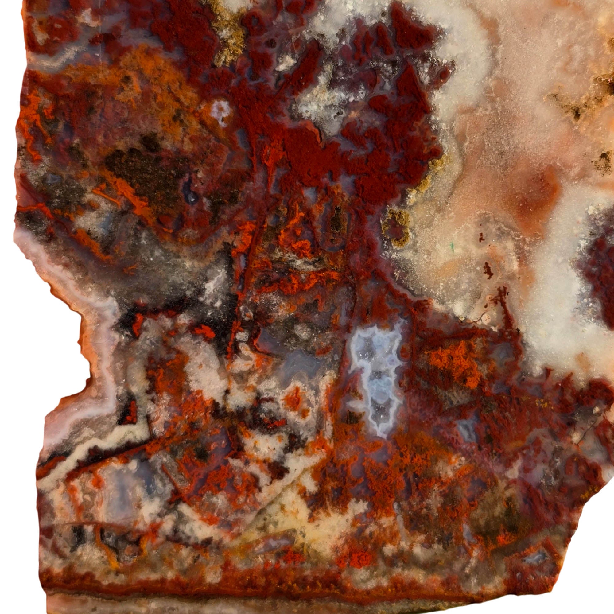 Apple Valley Agate Slab – Red Moss Plume Pattern Sahara Desert #3760-Photo3