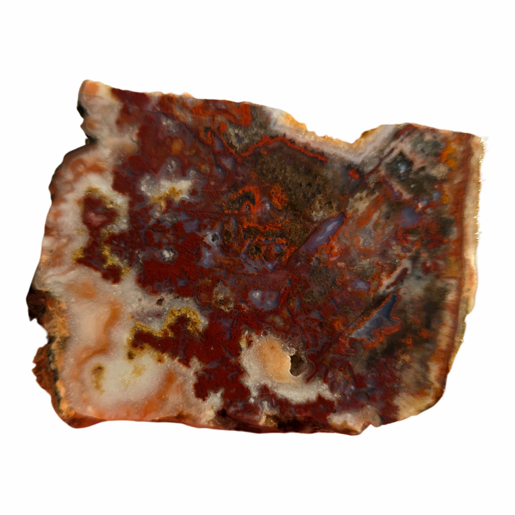 Apple Valley Agate Slab – Red Moss Plume Pattern Sahara Desert #3760-Photo4