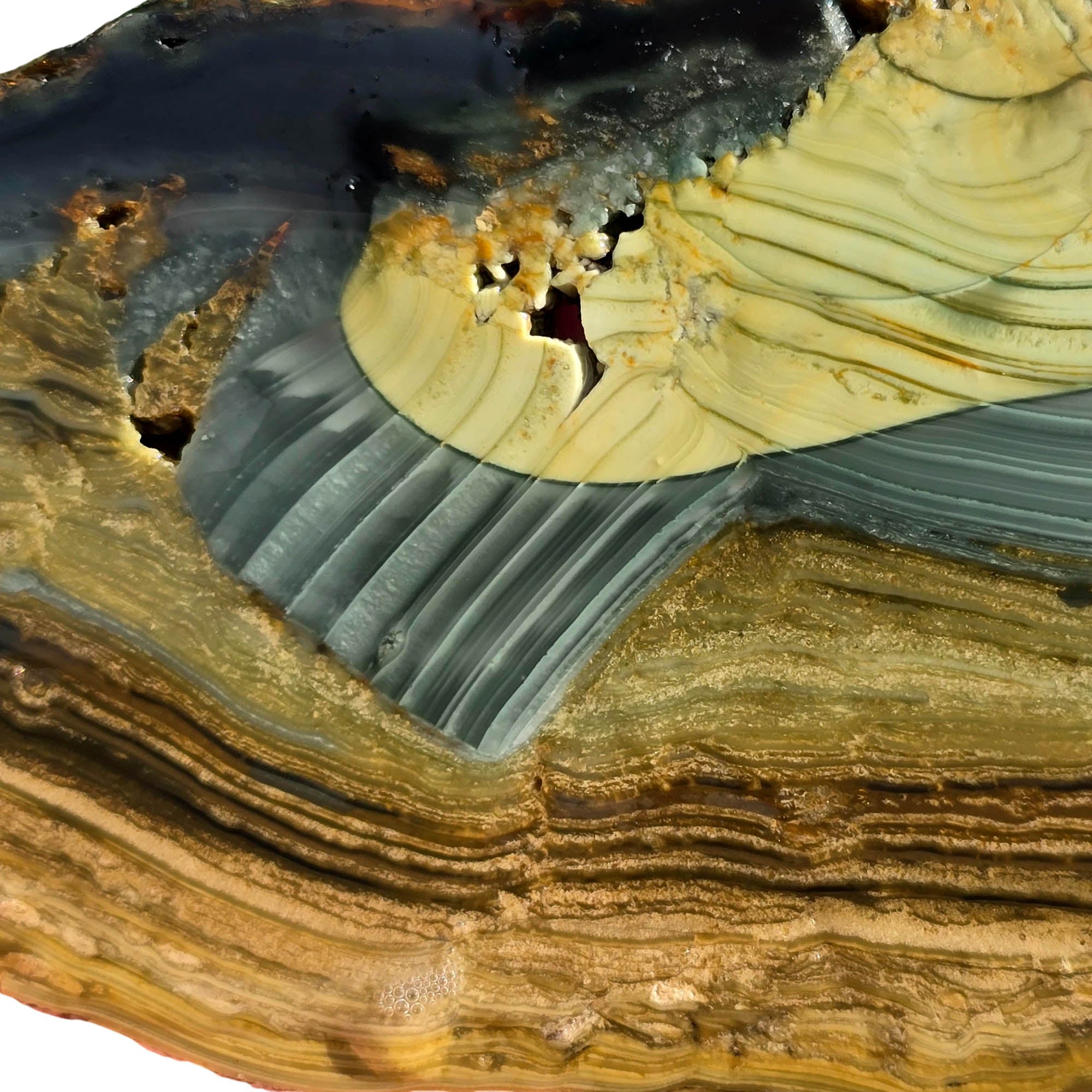 Blue Mountain Jasper Slab – Paintbrush Strokes Orb Pattern Oregon #3761-Photo2