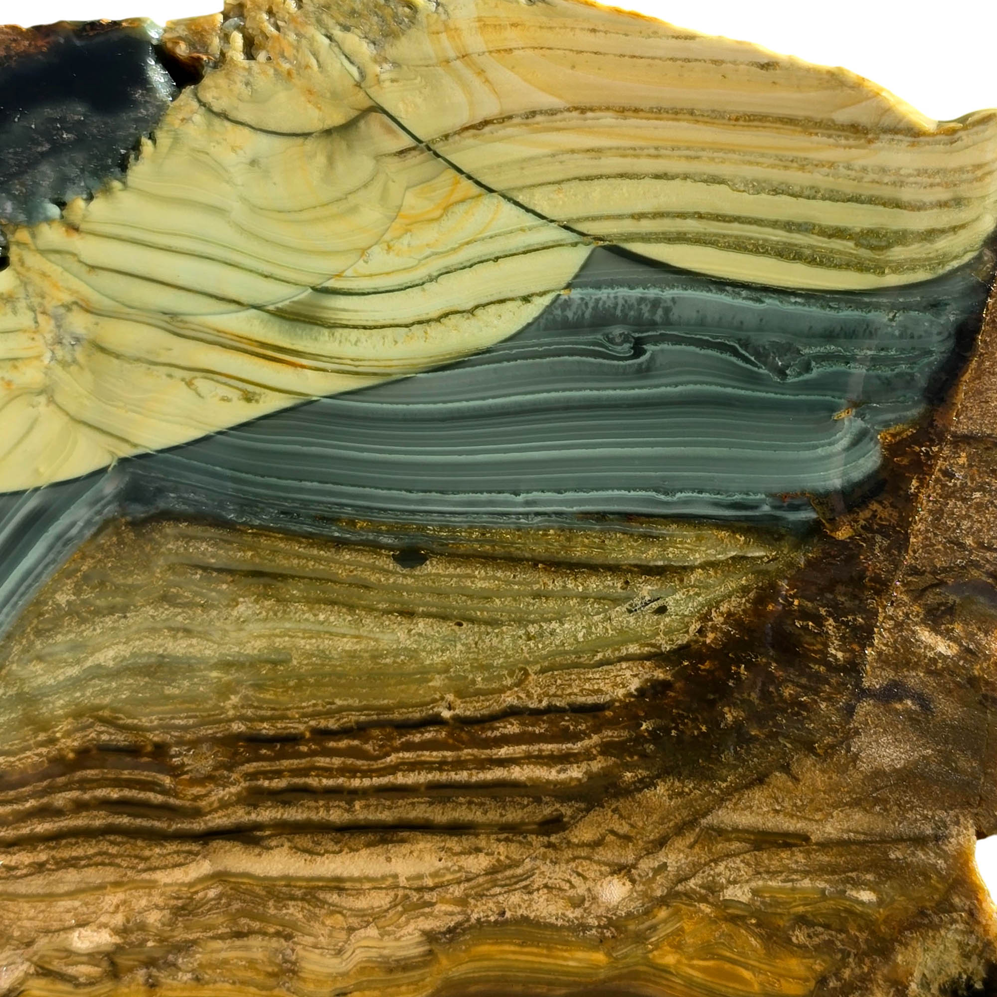 Blue Mountain Jasper Slab – Paintbrush Strokes Orb Pattern Oregon #3761-Photo3