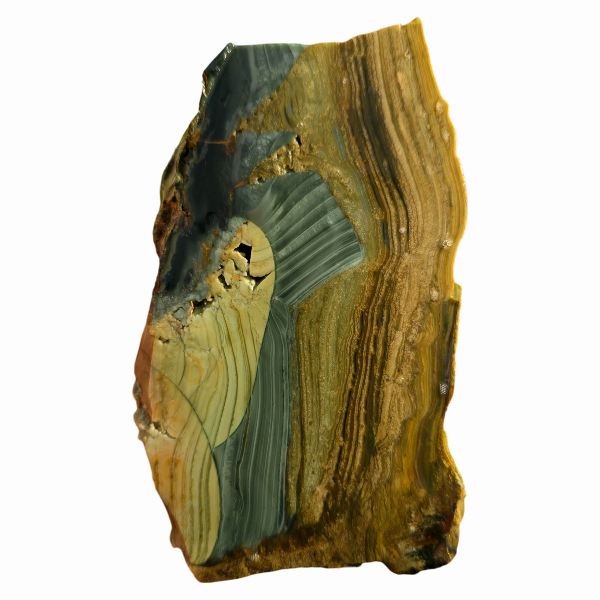 Blue Mountain Jasper Slab – Paintbrush Strokes Orb Pattern Oregon #3761-Photo4