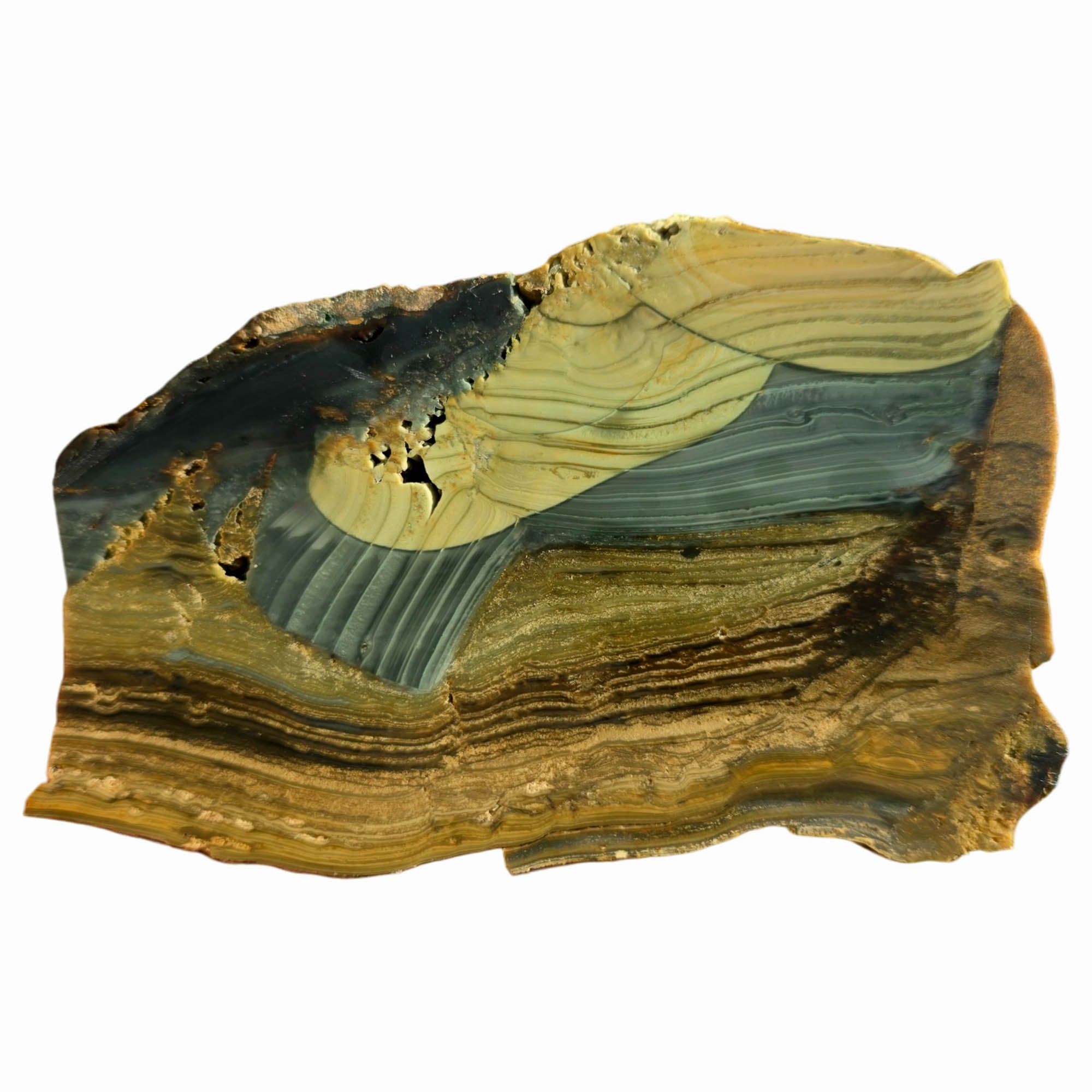 Blue Mountain Jasper Slab – Paintbrush Strokes Orb Pattern Oregon #3761-Photo5