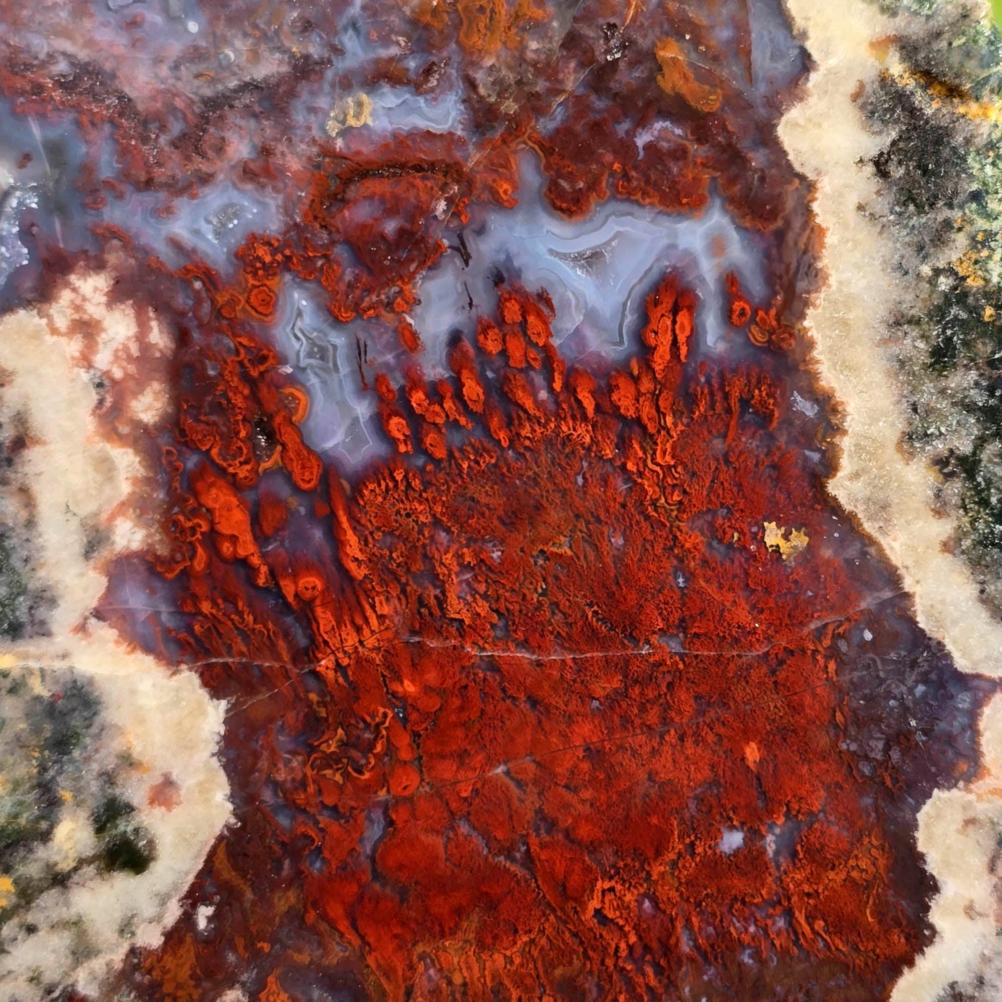 Red Lightning Agate Slab – Bright Red Moss High Contrast #3762-Photo4