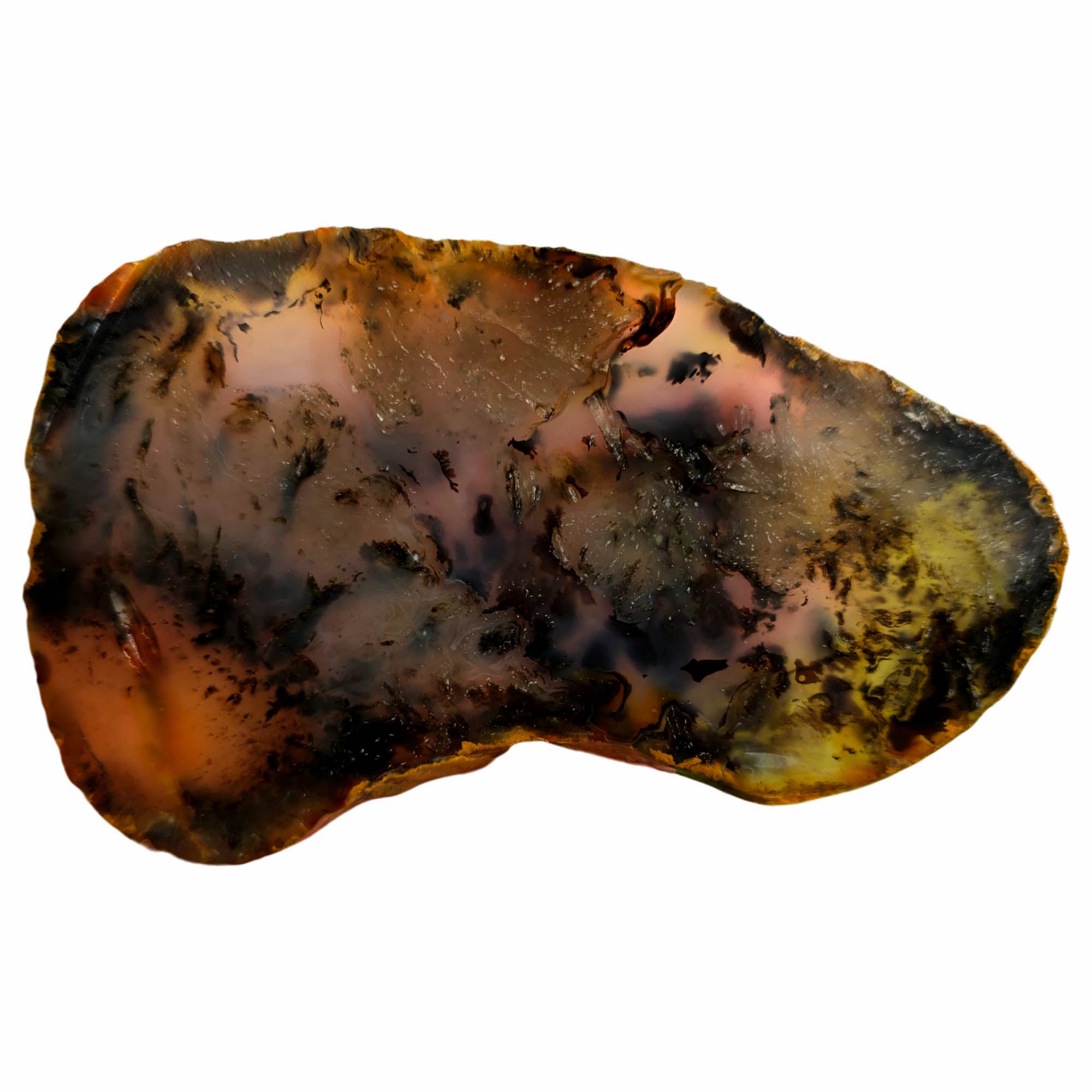 Montana Agate Slab – Black Dendritic Moss Tree Formations! #3763-Photo3