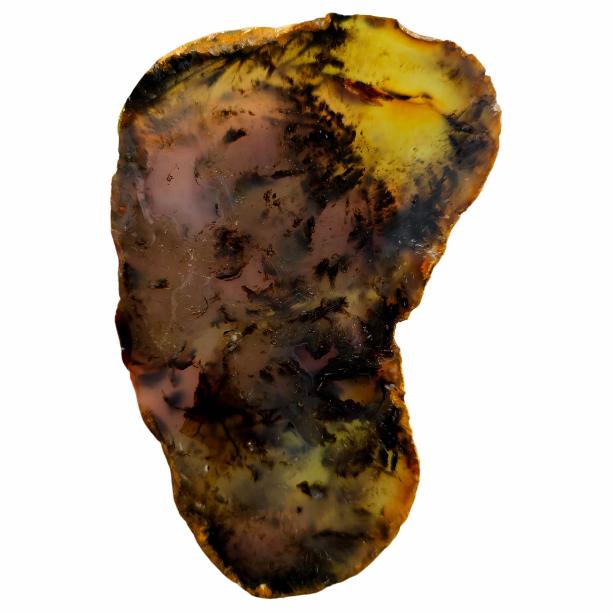 Montana Agate Slab – Black Dendritic Moss Tree Formations! #3763-Photo4