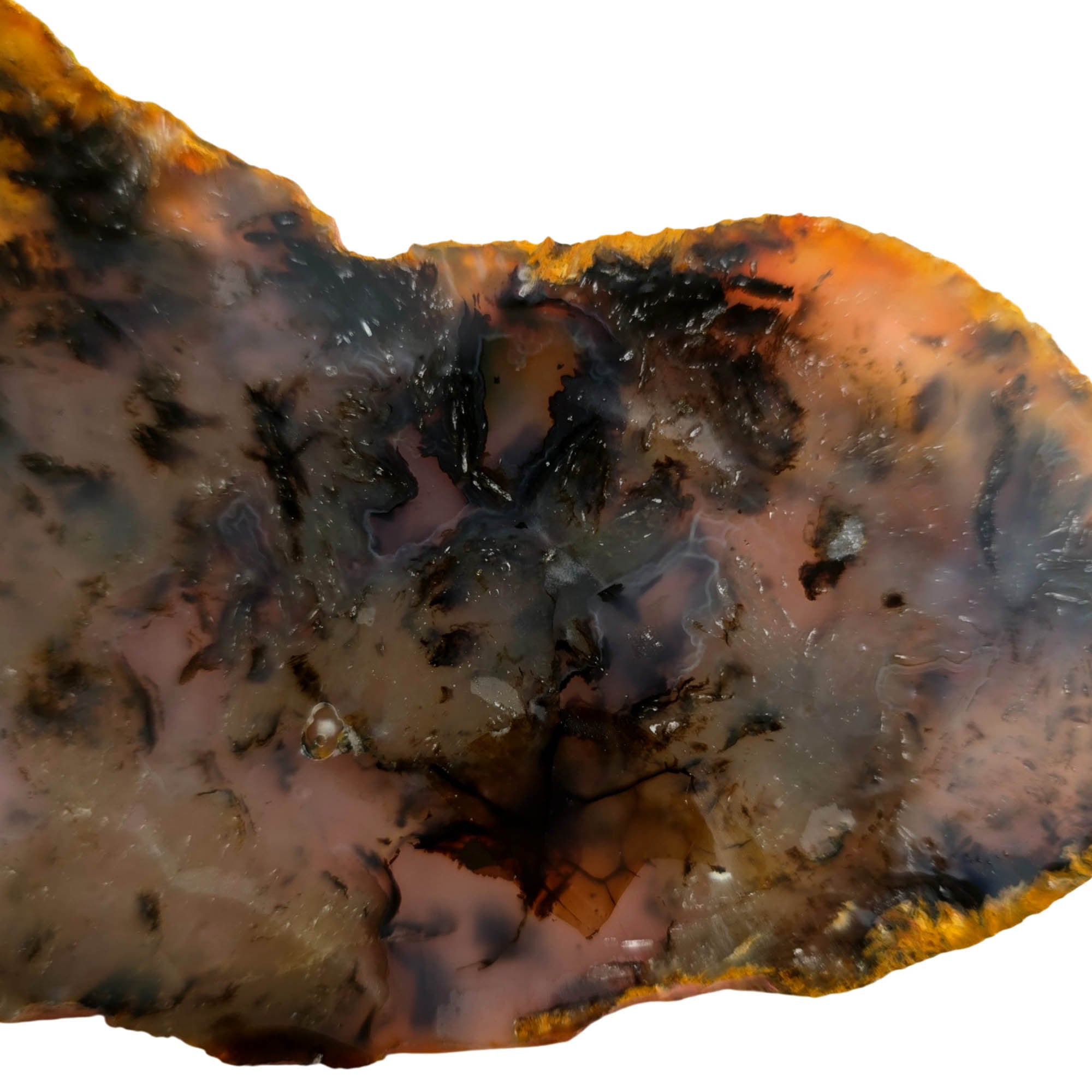 Montana Agate Slab – Black Dendritic Moss Tree Formations! #3763-Photo5