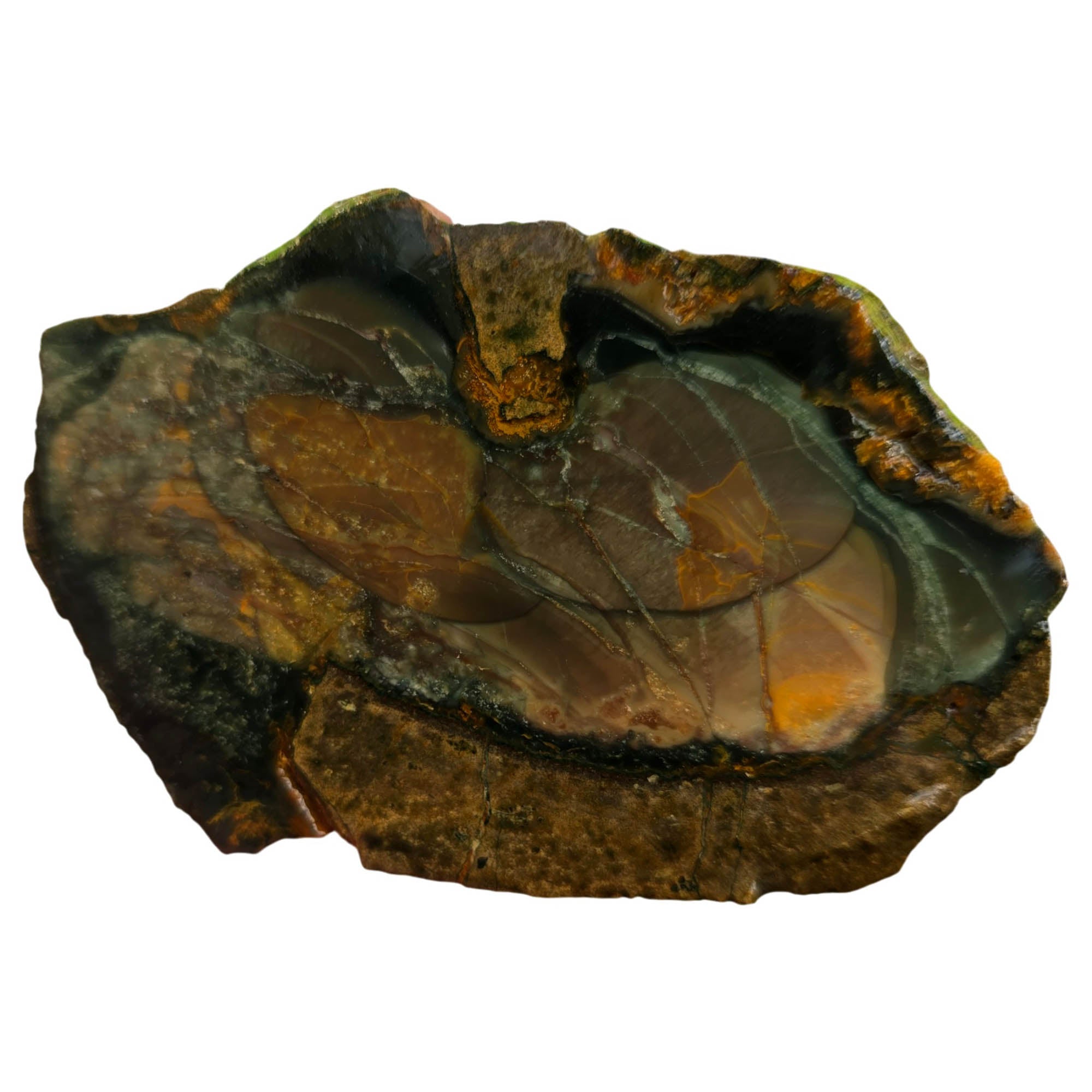 Blue Mountain Jasper Slab – Multiple Orbs Blue-Green Color Array #3765-Photo3