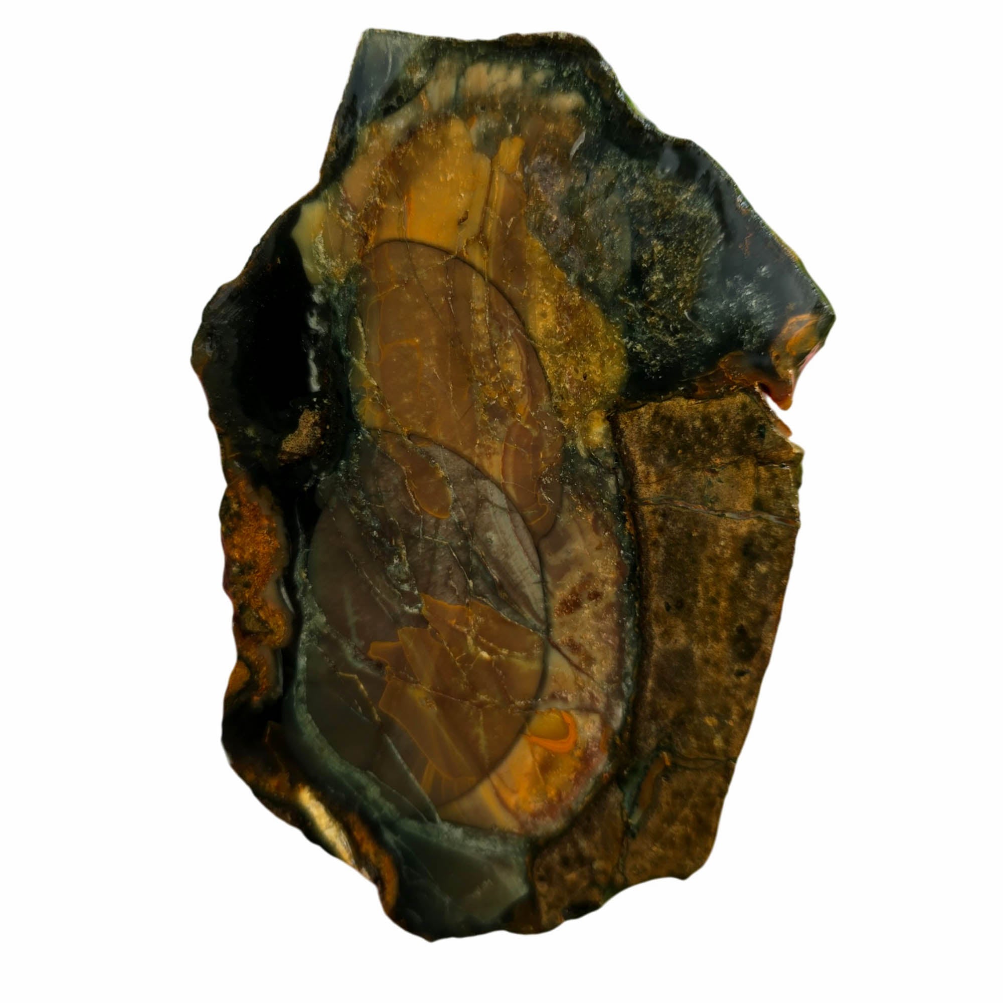 Blue Mountain Jasper Slab – Multiple Orbs Blue-Green Color Array #3765-Photo4