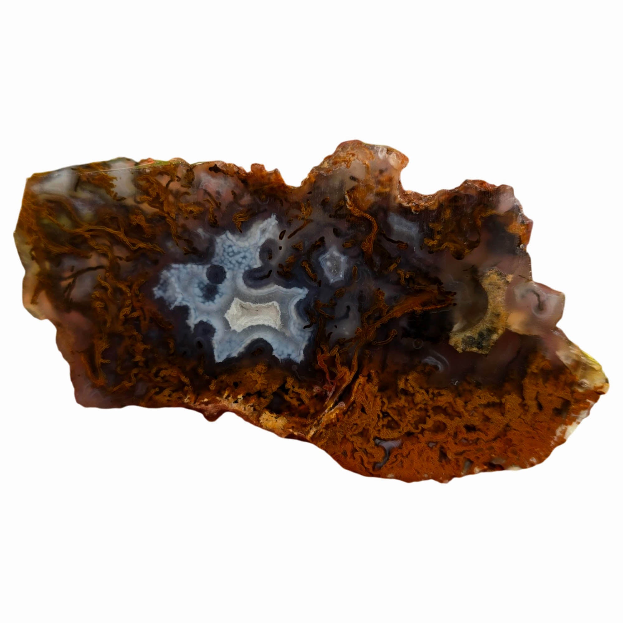 San Carlos Agate Slab – Blue Orange Moss Druzy Center Mexico #3766-Photo4