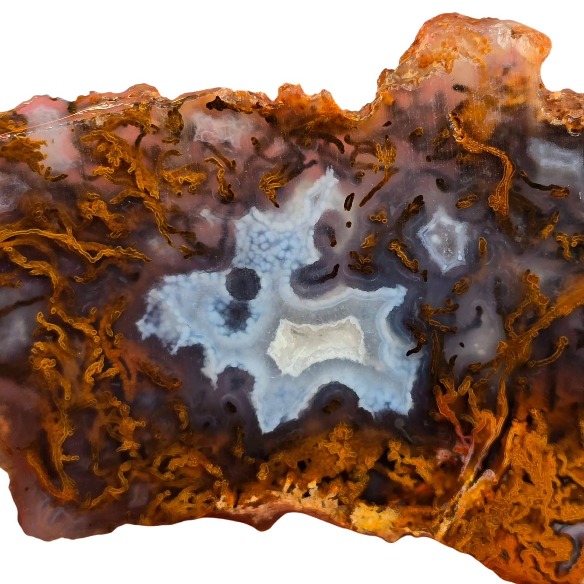 San Carlos Agate Slab – Blue Orange Moss Druzy Center Mexico #3766-Photo2
