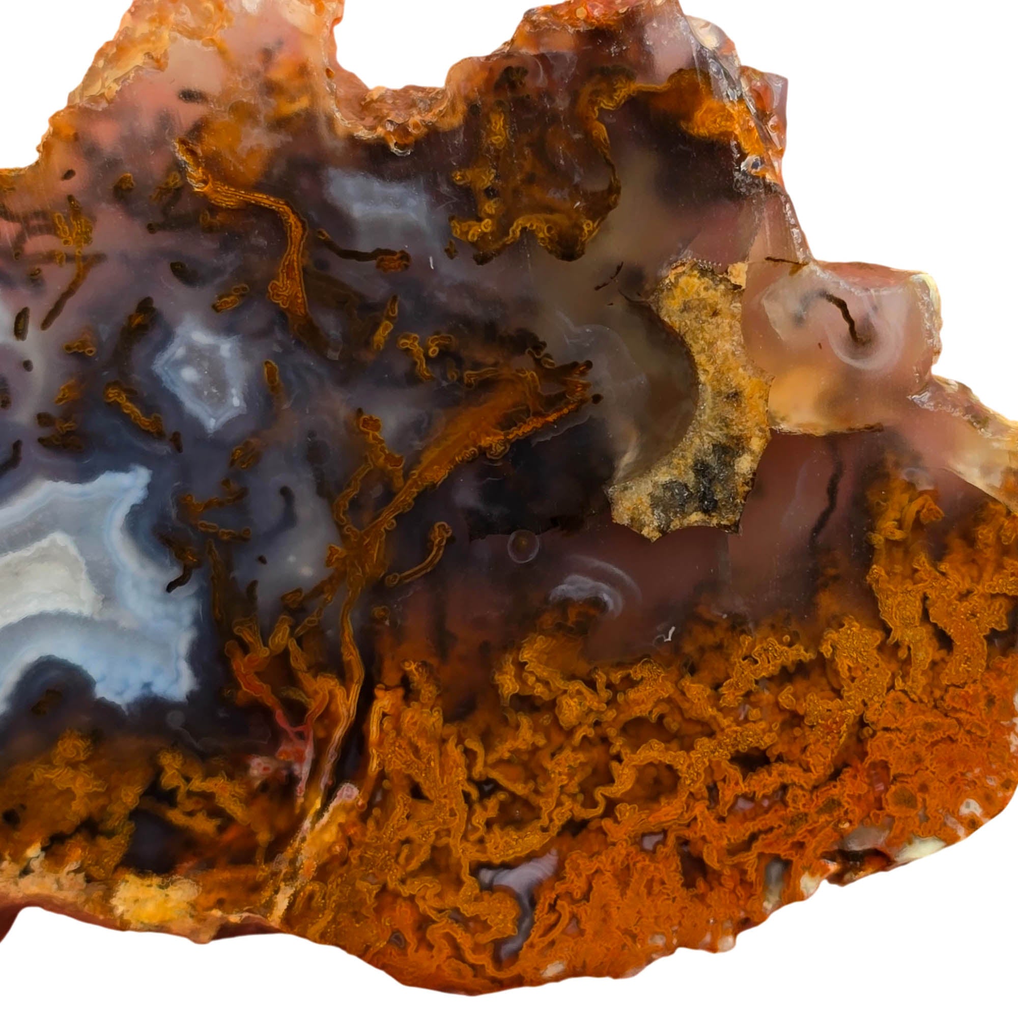 San Carlos Agate Slab – Blue Orange Moss Druzy Center Mexico #3766-Photo5