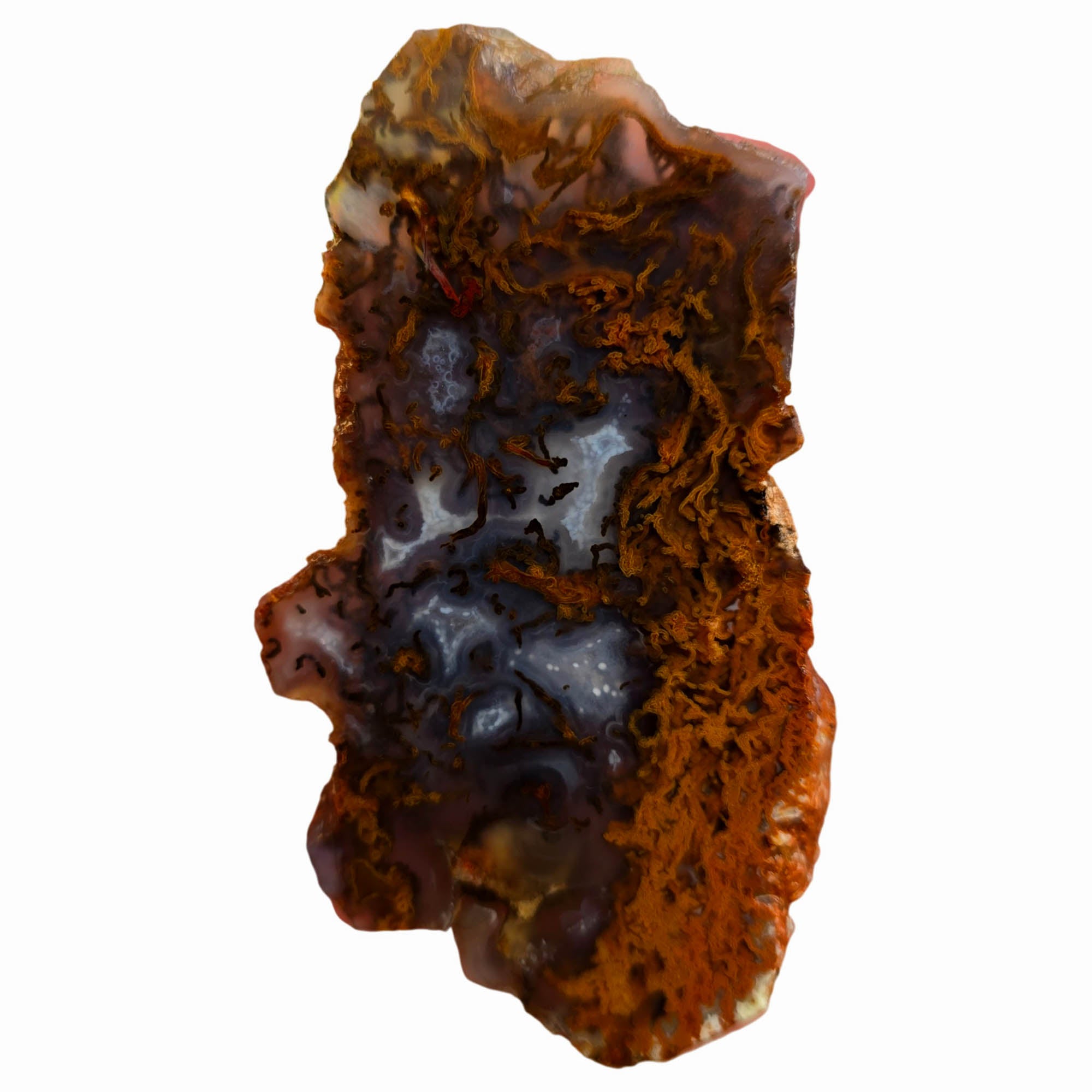 San Carlos Agate Slab – Blue Orange Moss Druzy Center Mexico #3766-Photo6