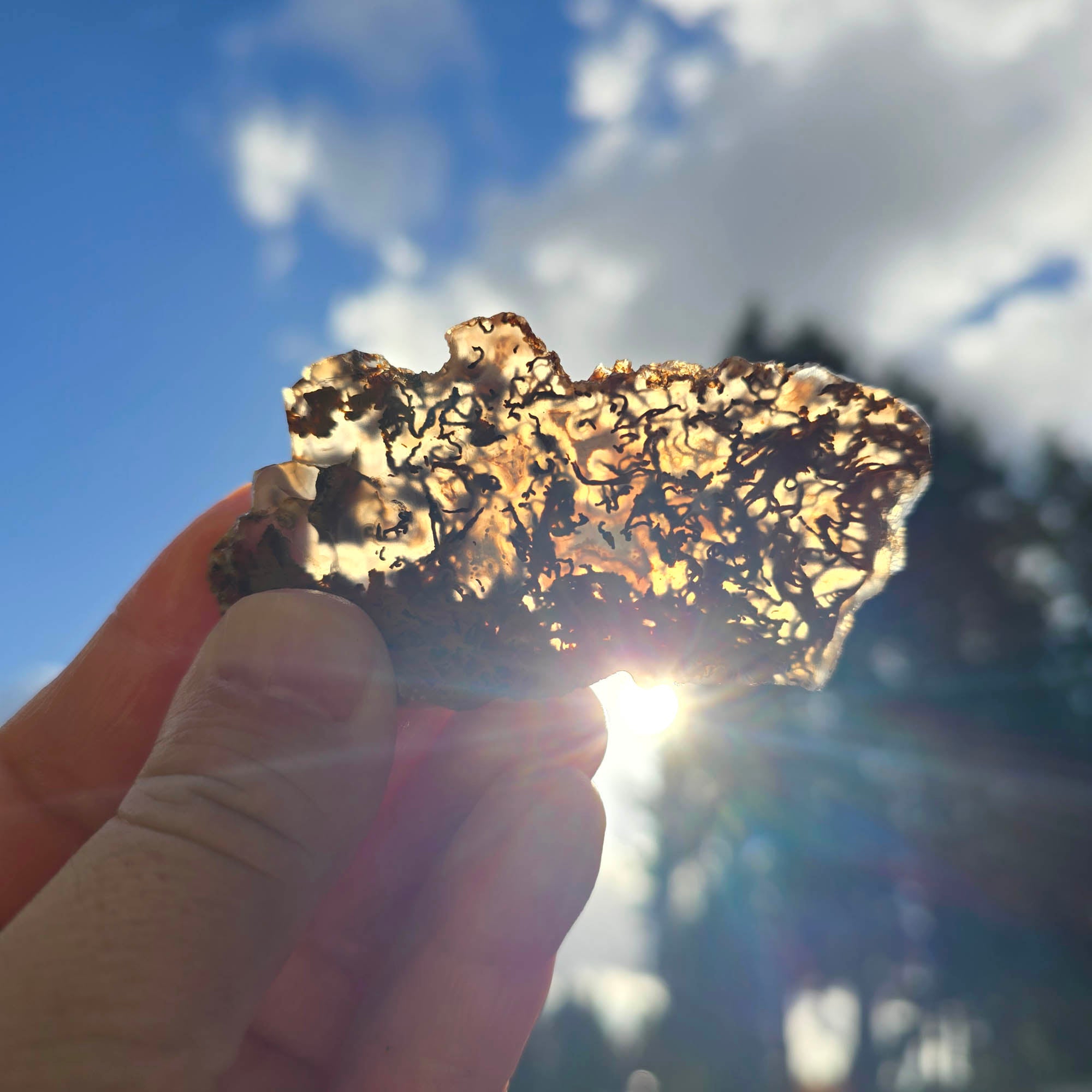 San Carlos Agate Slab – Blue Orange Moss Druzy Center Mexico #3766-Photo3