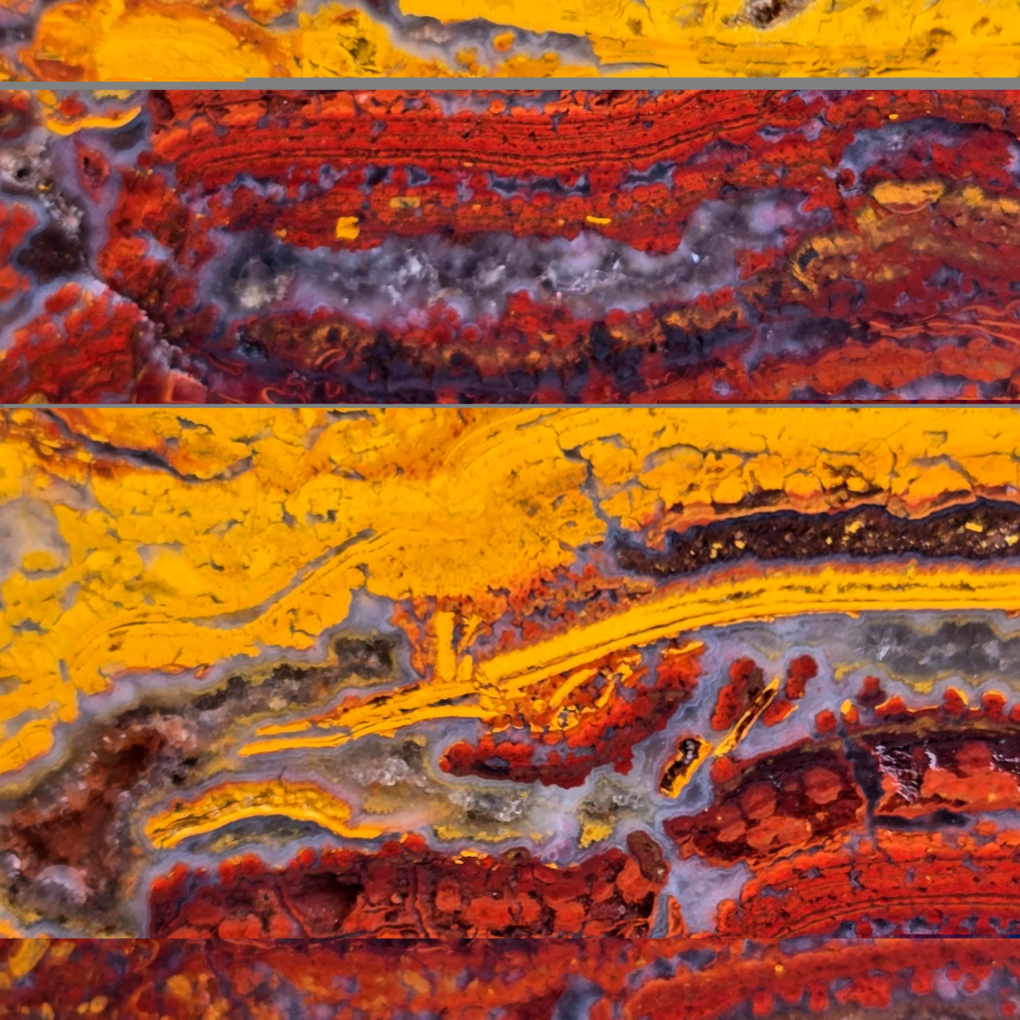 Apple Valley Jasper Slab – Gold Red Waves Fossil Stromatolite #3767-Photo3