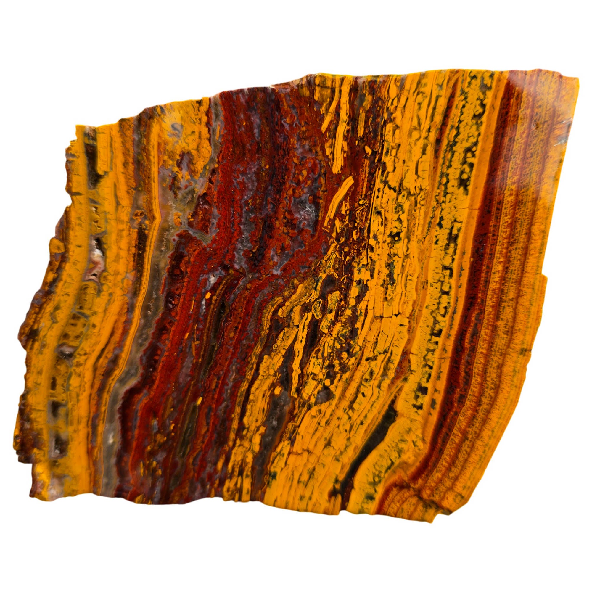 Apple Valley Jasper Slab – Gold Red Waves Fossil Stromatolite #3767-Photo4