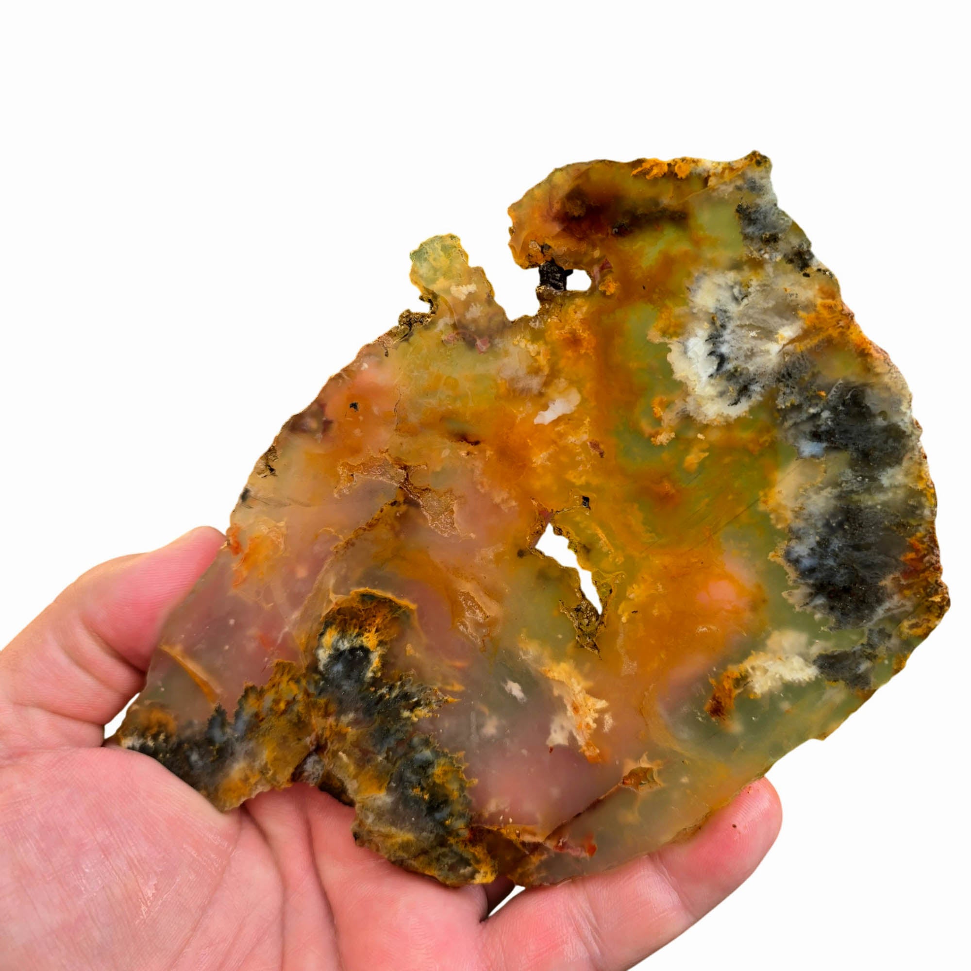 Regency Rose Plume Agate Slab – Black White Wispy Plume Carnelian #3769-Photo5