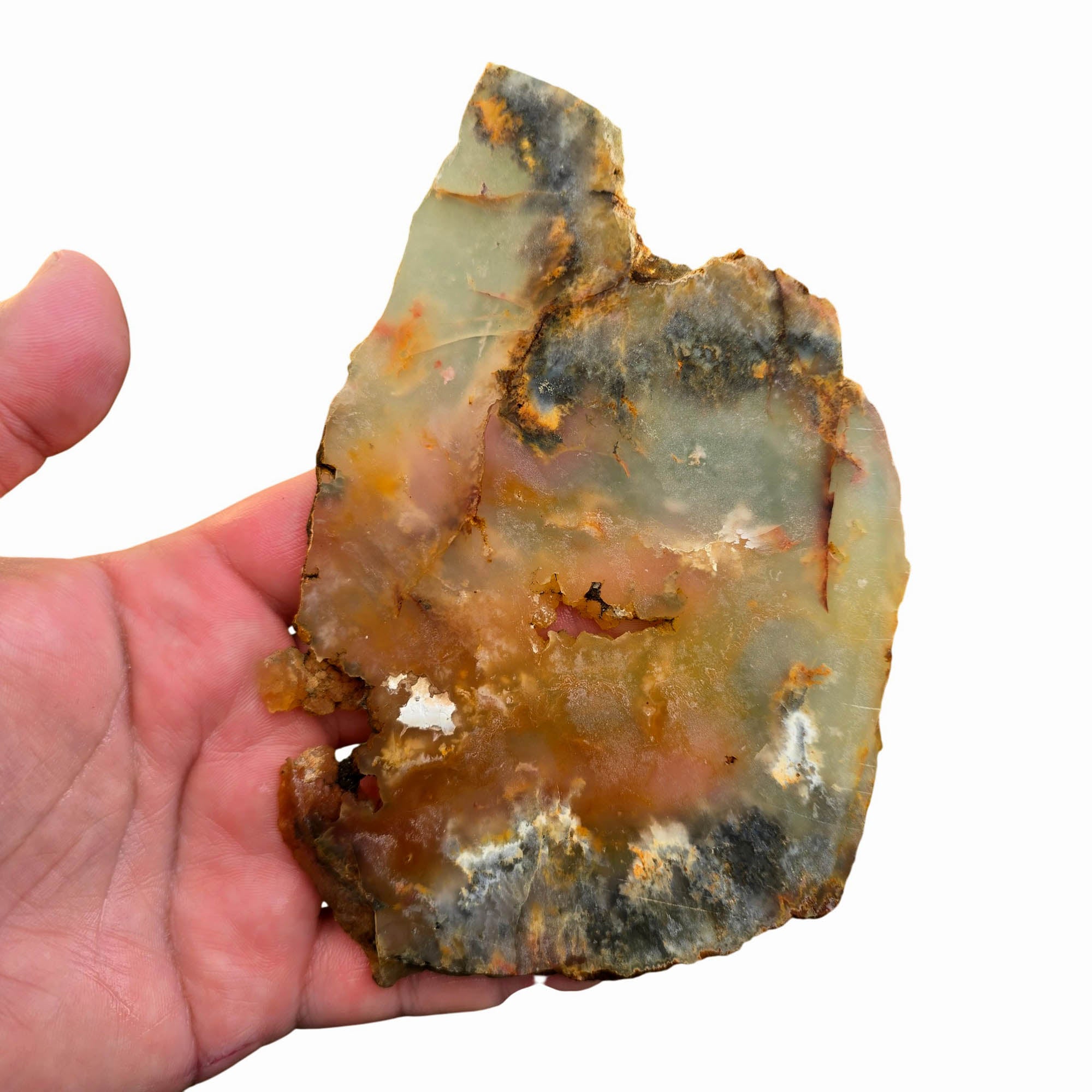 Regency Rose Plume Agate Slab – Black White Wispy Plume Carnelian #3769-Photo6