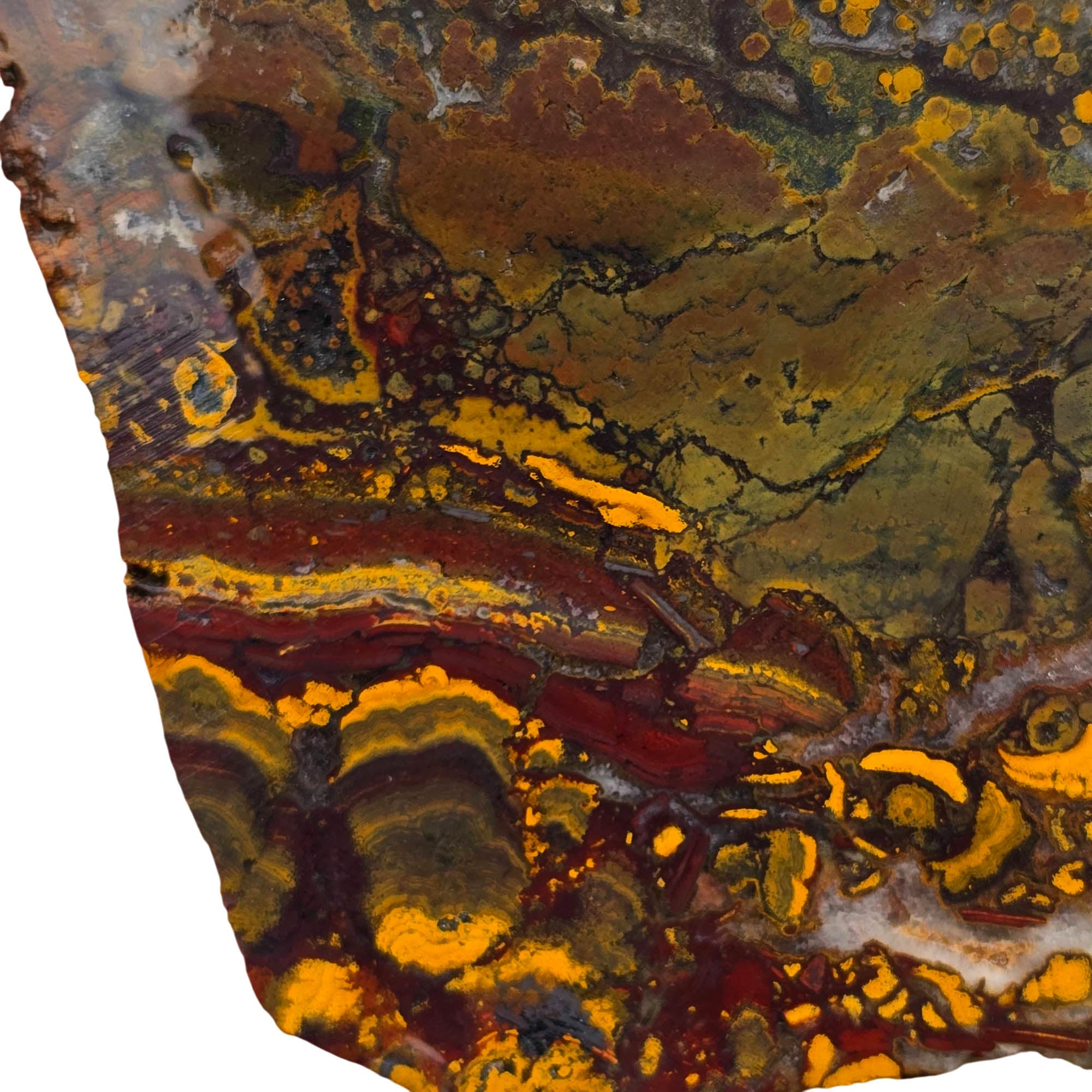 Apple Valley Jasper Slab – White Quartz Rivers Oolitic Fossil #3770-Photo2