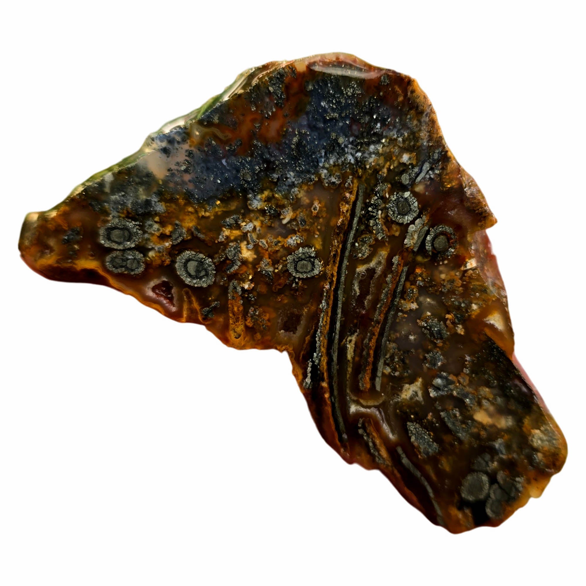 Nipomo Marcasite Slab – Iron Tubes Druzy Sparkle California #3771-Photo3