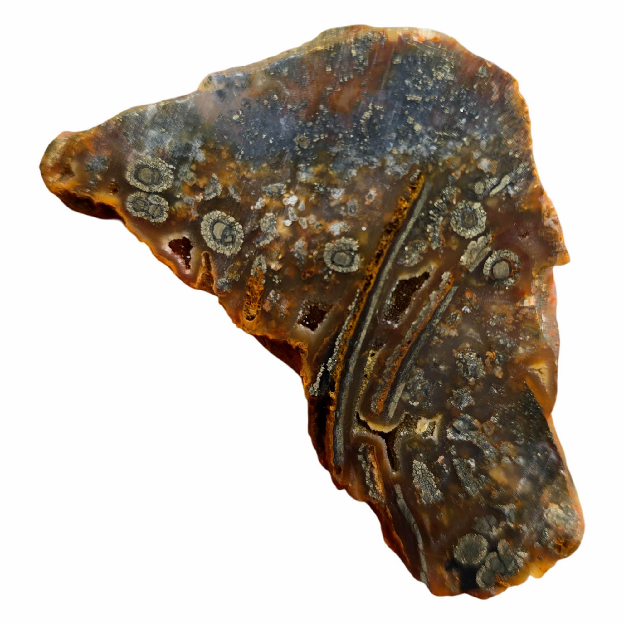 Nipomo Marcasite Slab Dry – Iron Tubes Druzy Sparkle California #3771-Photo6