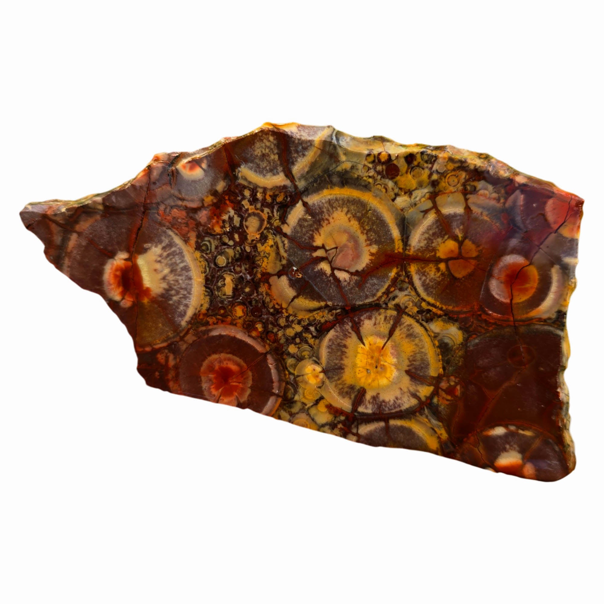 Birdseye Rhyolite Slab – Defined Orbs – Mexico Old Stock #3772-Photo3