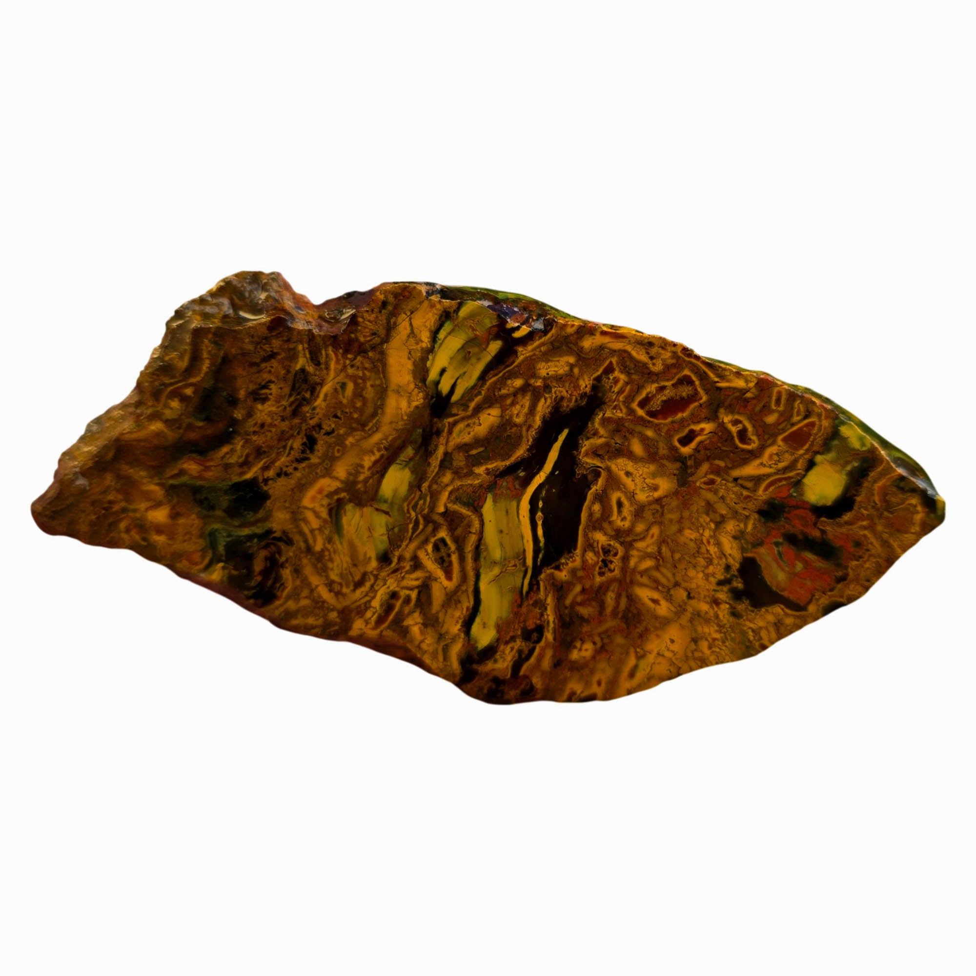 Kaleidoscope Jasper Slab – Organic Fossil Pattern Oregon Jurassic #3773-Photo2