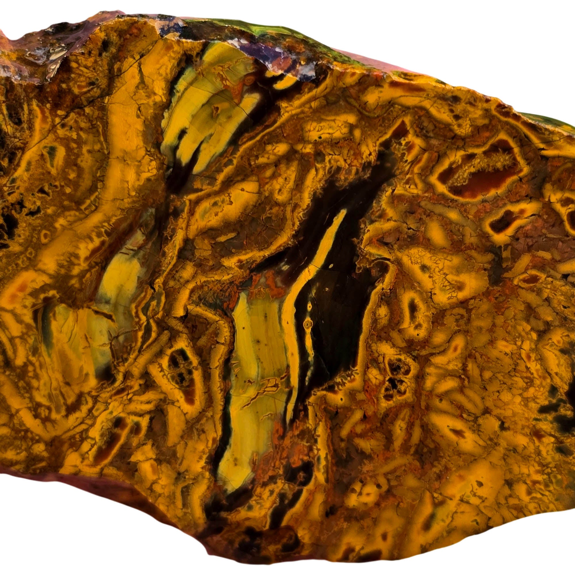 Kaleidoscope Jasper Slab – Organic Fossil Pattern Oregon Jurassic #3773-Photo3