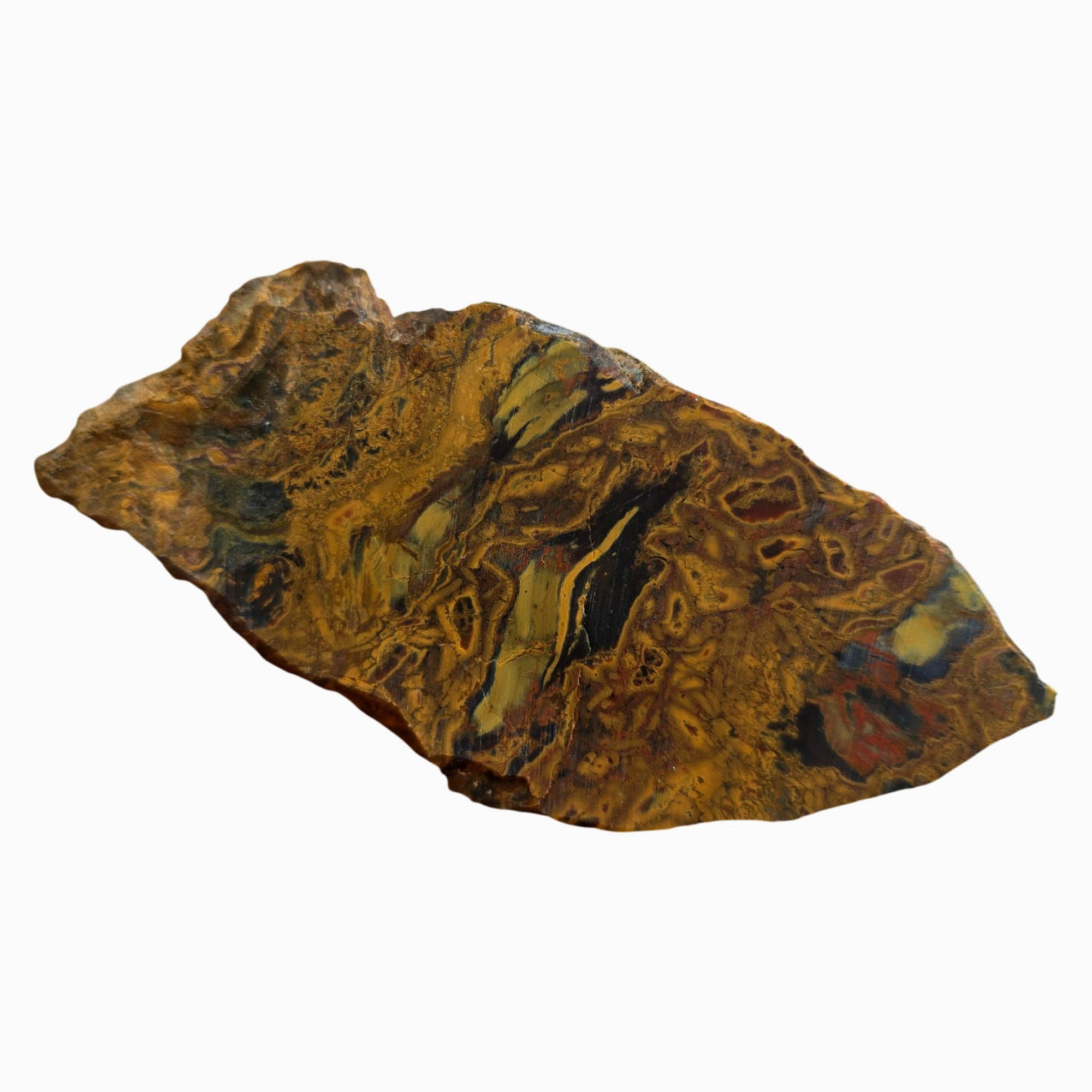 Kaleidoscope Jasper Slab Dry – Organic Fossil Pattern Oregon Jurassic #3773-Photo6