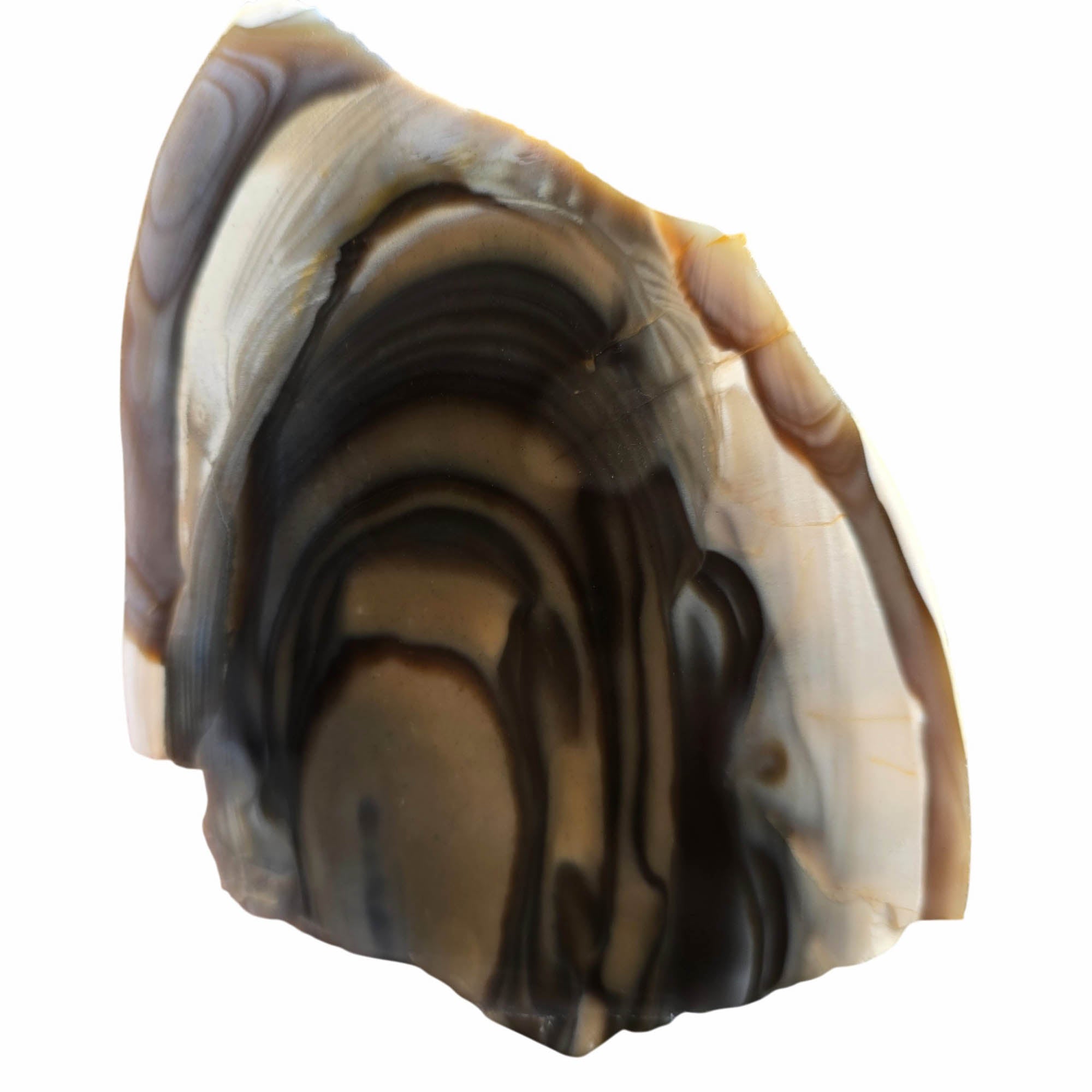 Polish Flint Slab – Ribbed Orb Pattern – Poland Rare #3775-Photo1