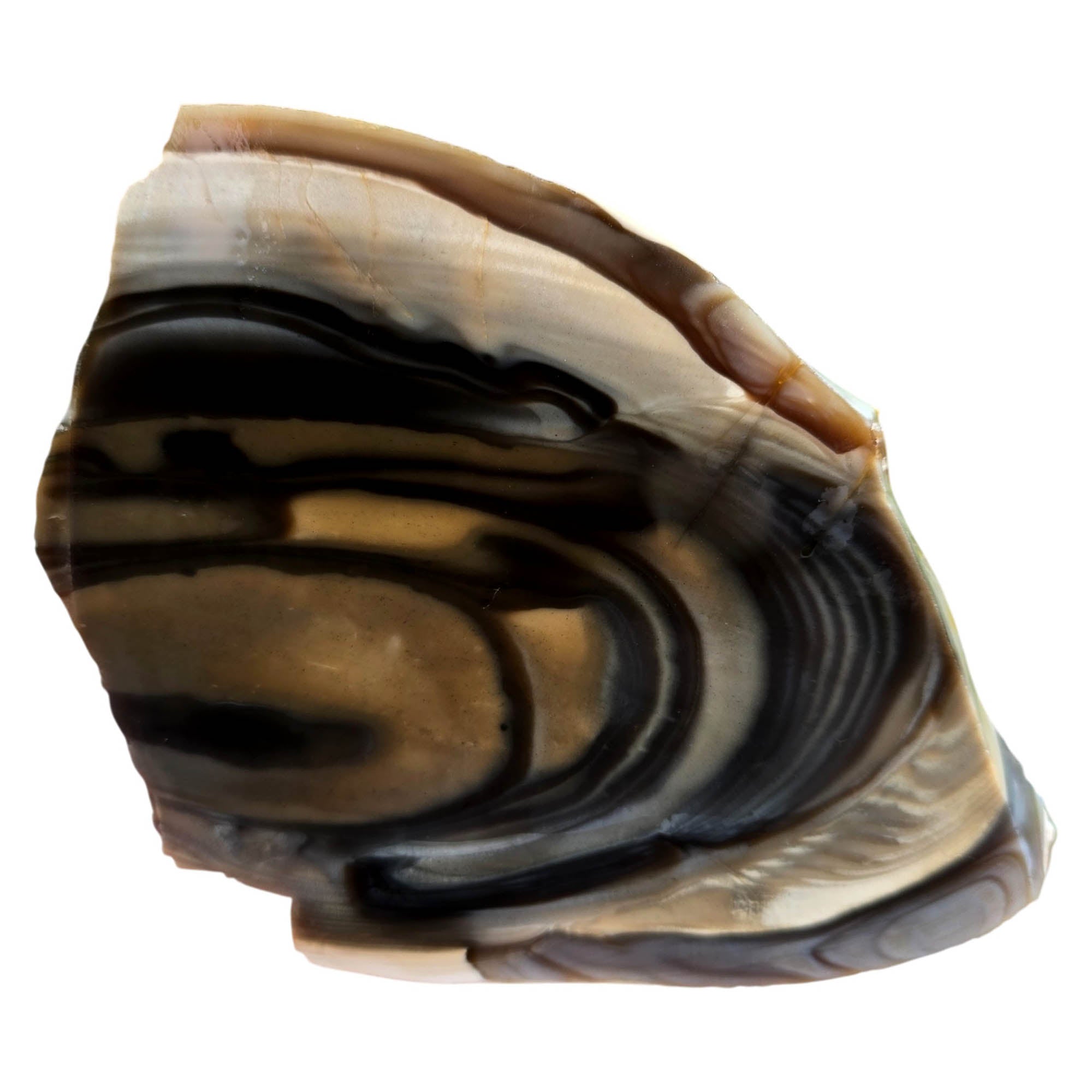 Polish Flint Slab – Ribbed Orb Pattern – Poland Rare #3775-Photo3