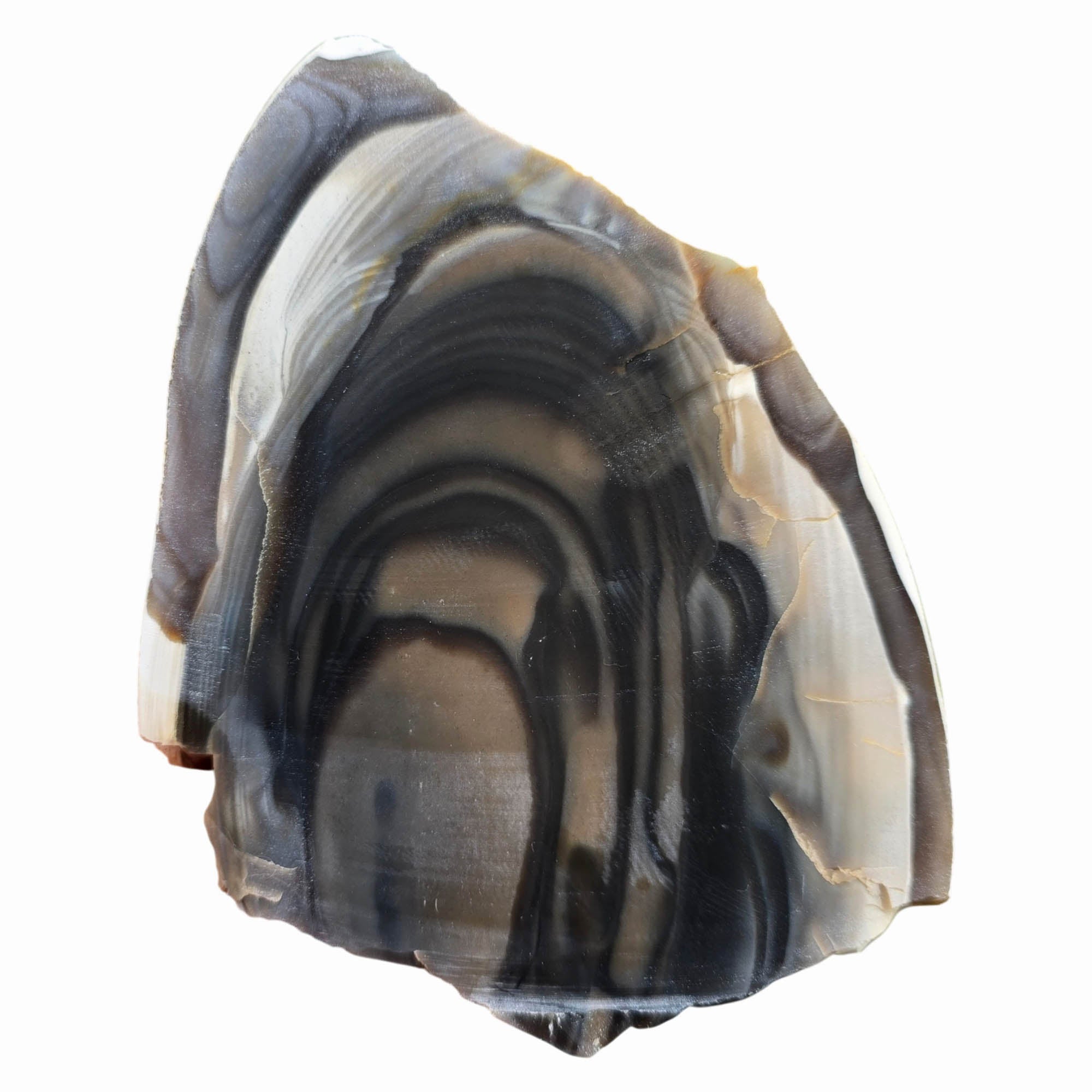 Polish Flint Slab – Ribbed Orb Pattern – Poland Rare Slab Dry #3775-Photo4