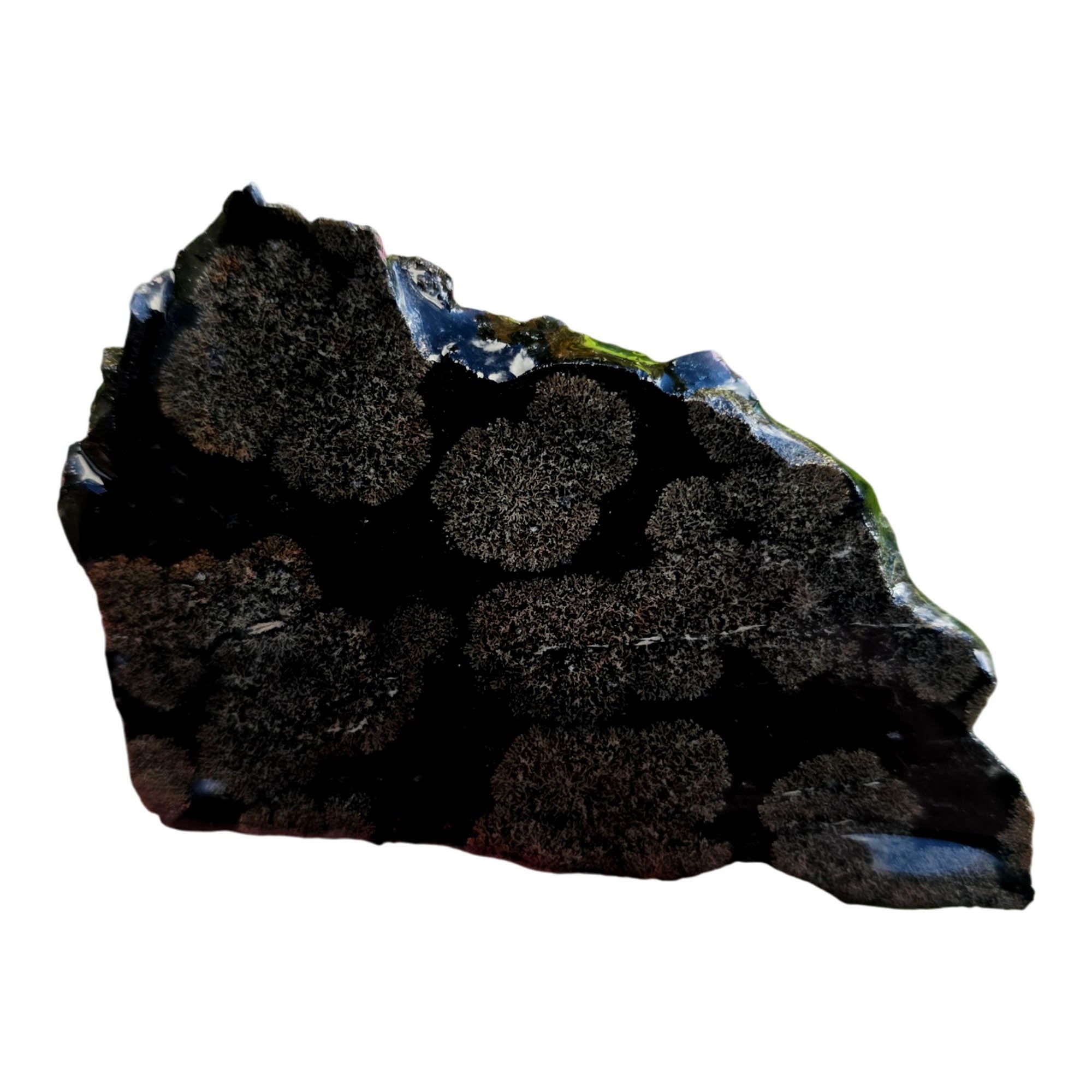 Flower Obsidian Slab – Darker Snowflake Pattern Mexico Rare #3778-Photo1