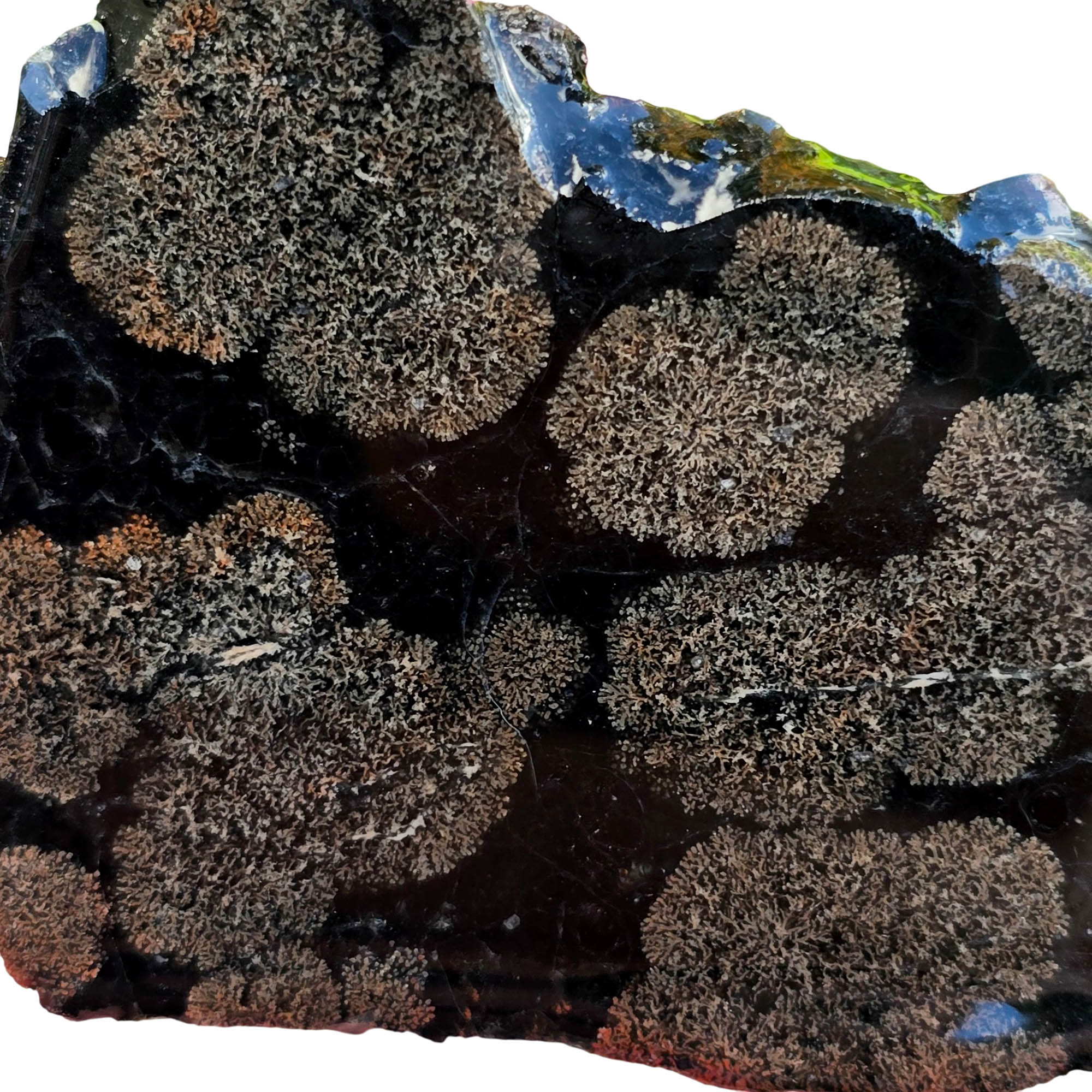 Flower Obsidian Slab – Darker Snowflake Pattern Mexico Rare #3778-Photo2