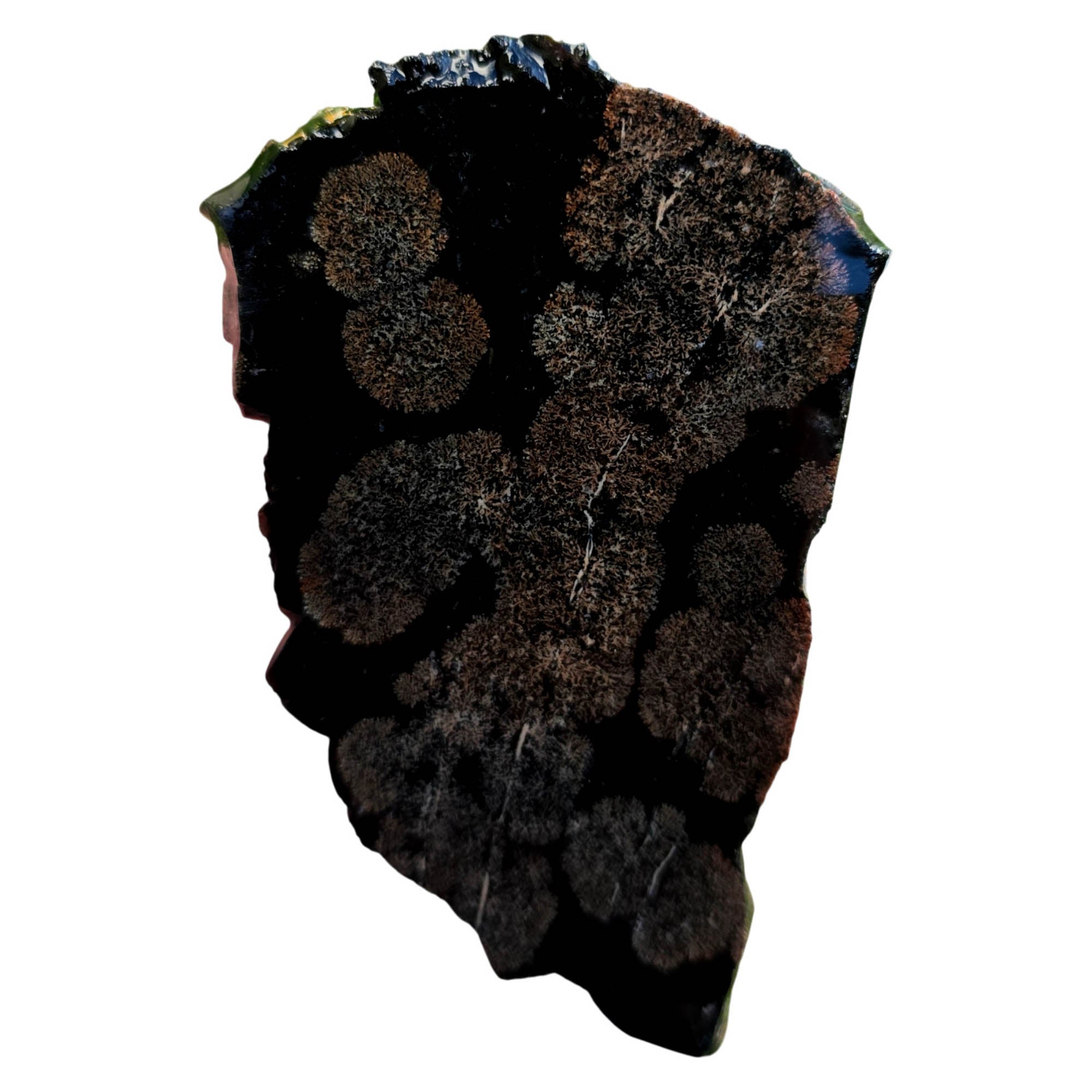 Flower Obsidian Slab – Darker Snowflake Pattern Mexico Rare #3778-Photo3