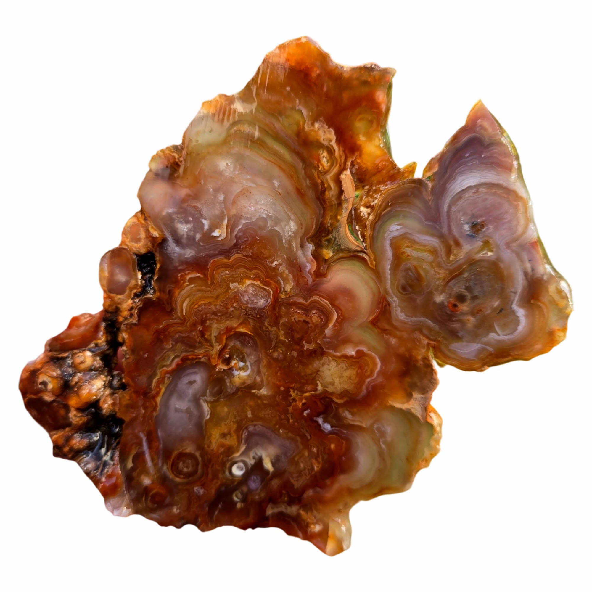 Fire Horizon Agate Slab – Fiery Orange Blooming Lace Druzy #3779-Photo1