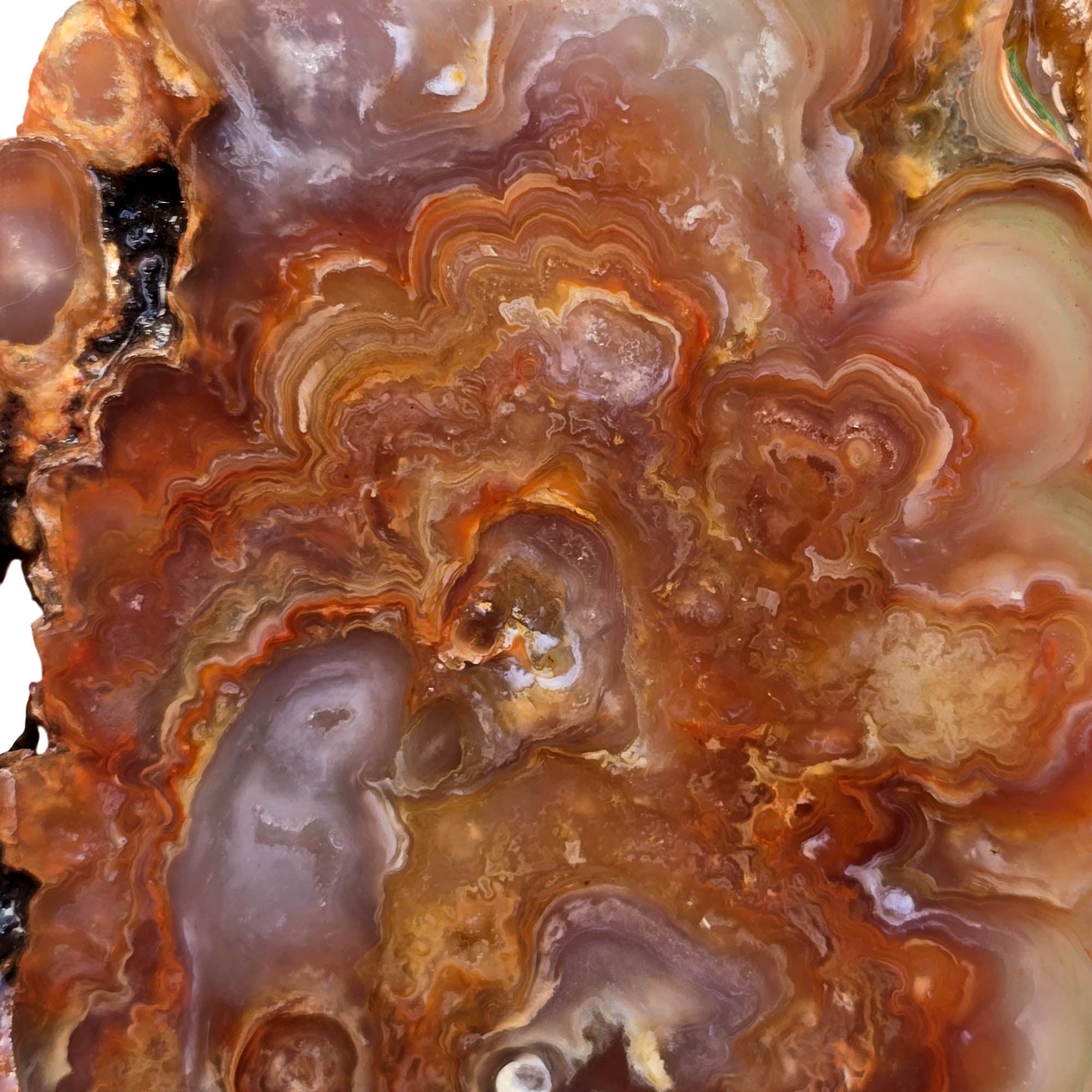 Fire Horizon Agate Slab – Fiery Orange Blooming Lace Druzy #3779-Photo2